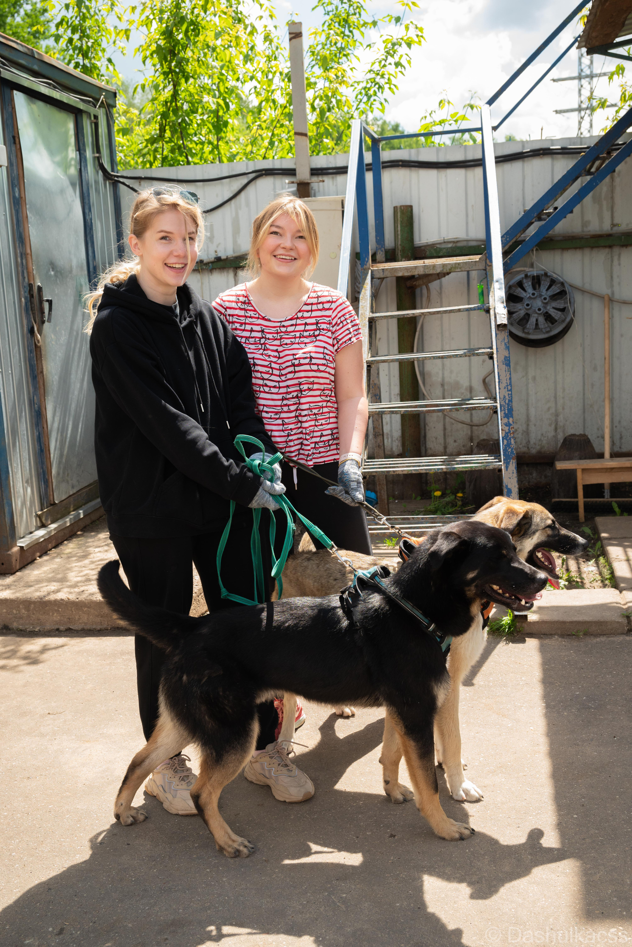 Выезд в приют. Фотограф Дарья Сафонова Dashulkacss