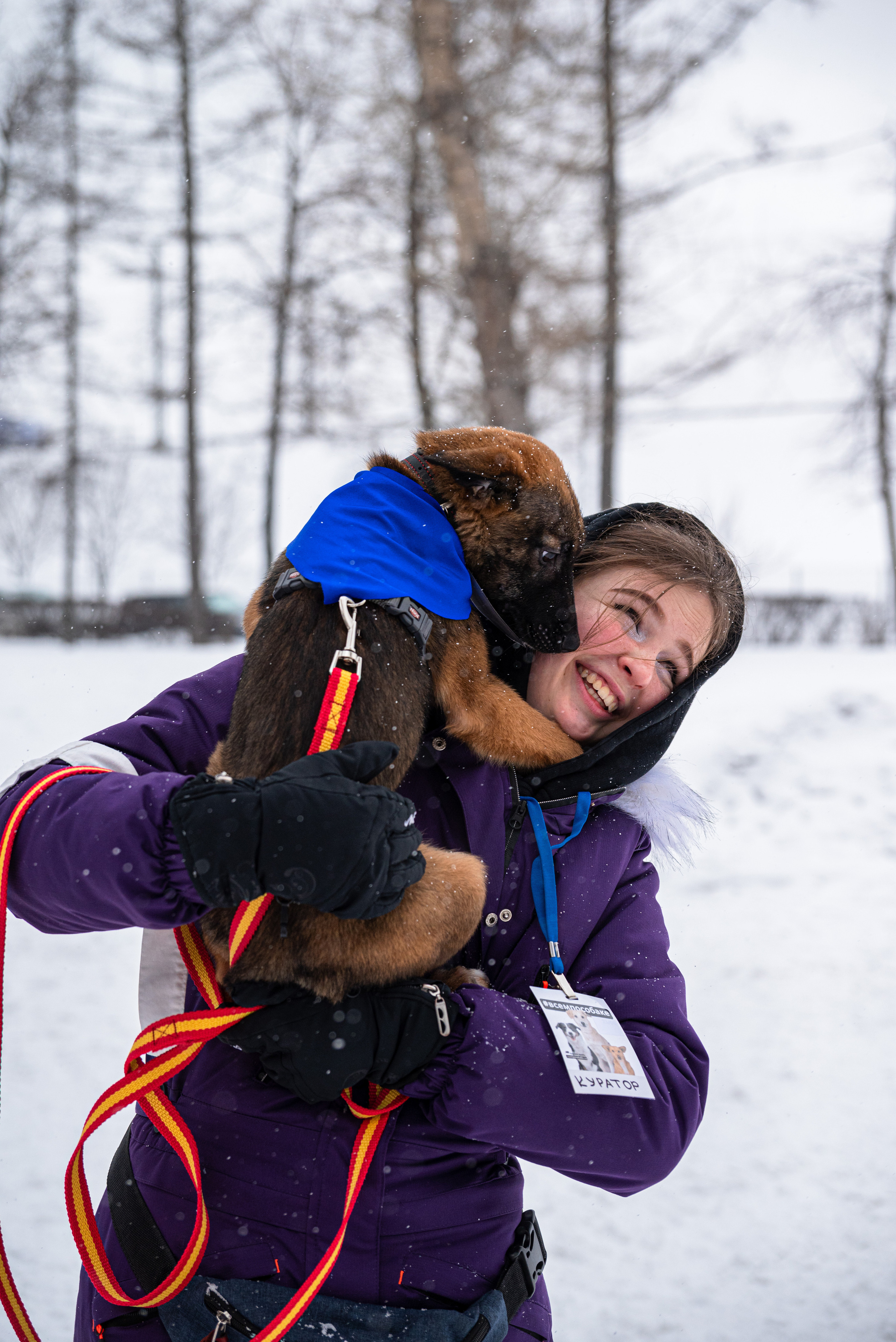 Всем по собаке. Фотограф Дарья Сафонова Dashulkacss