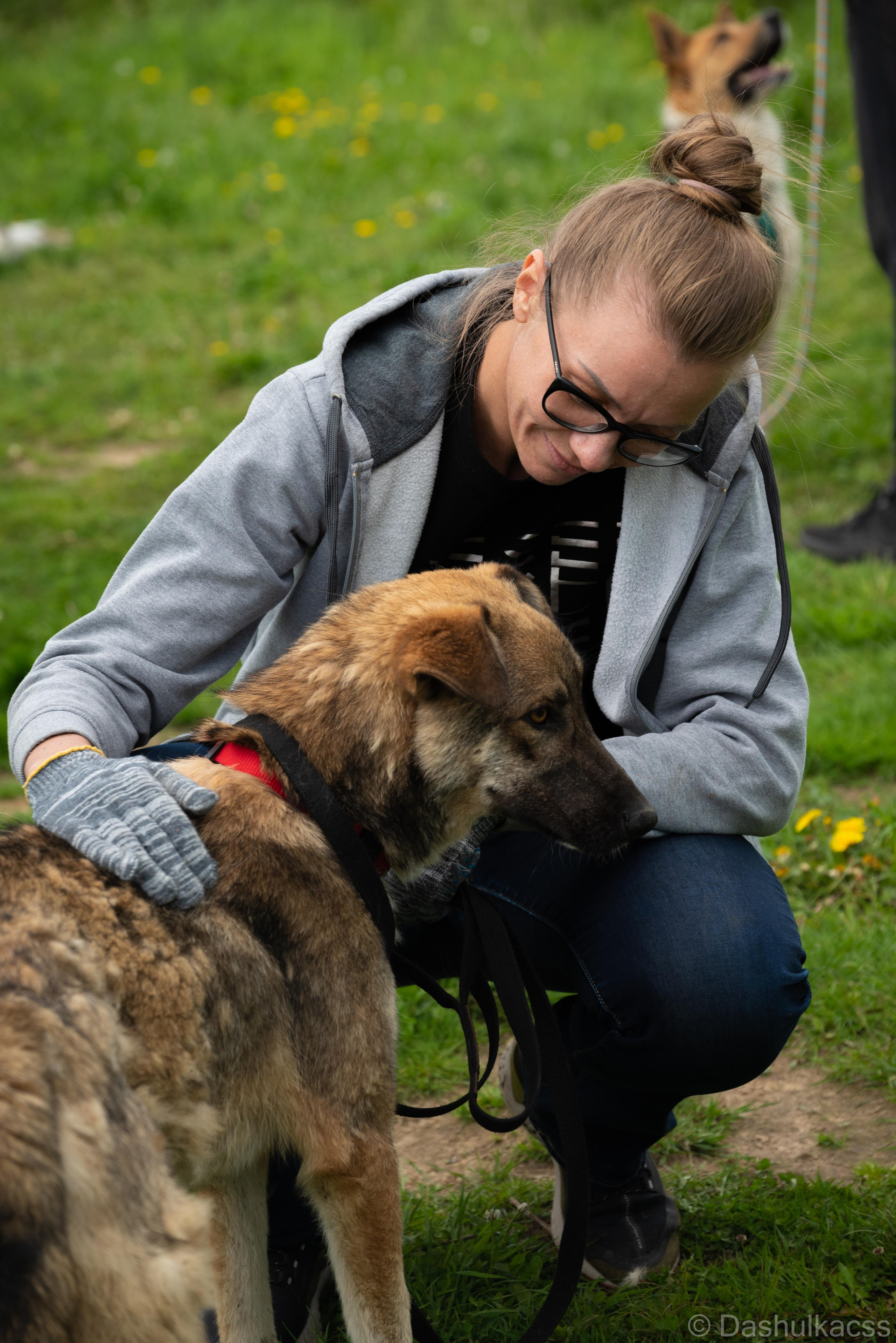 Выезд в приют. Фотограф Дарья Сафонова Dashulkacss