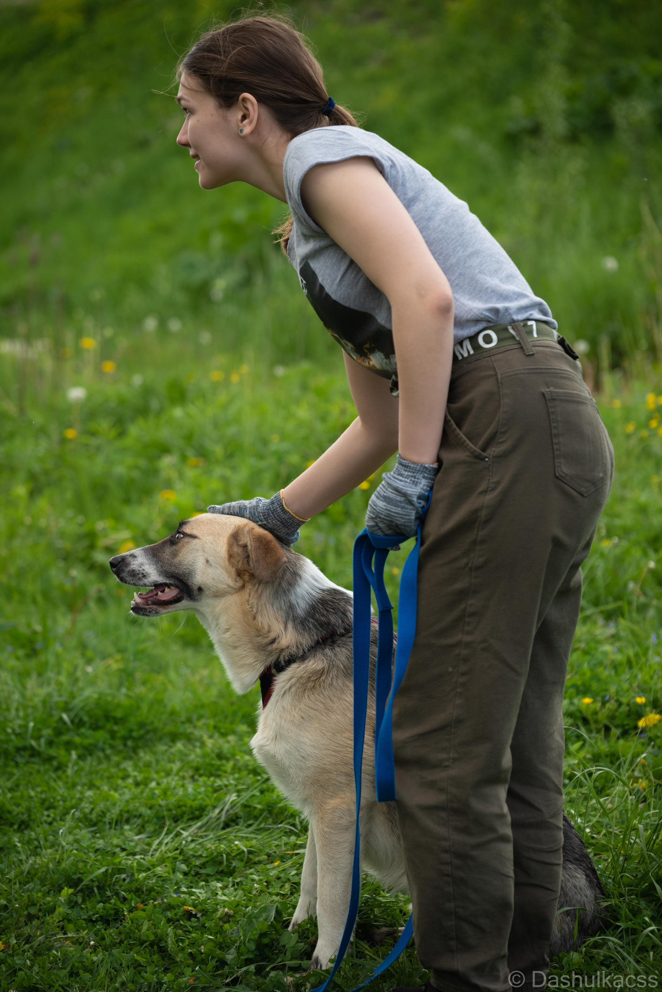 Выезд в приют. Фотограф Дарья Сафонова Dashulkacss