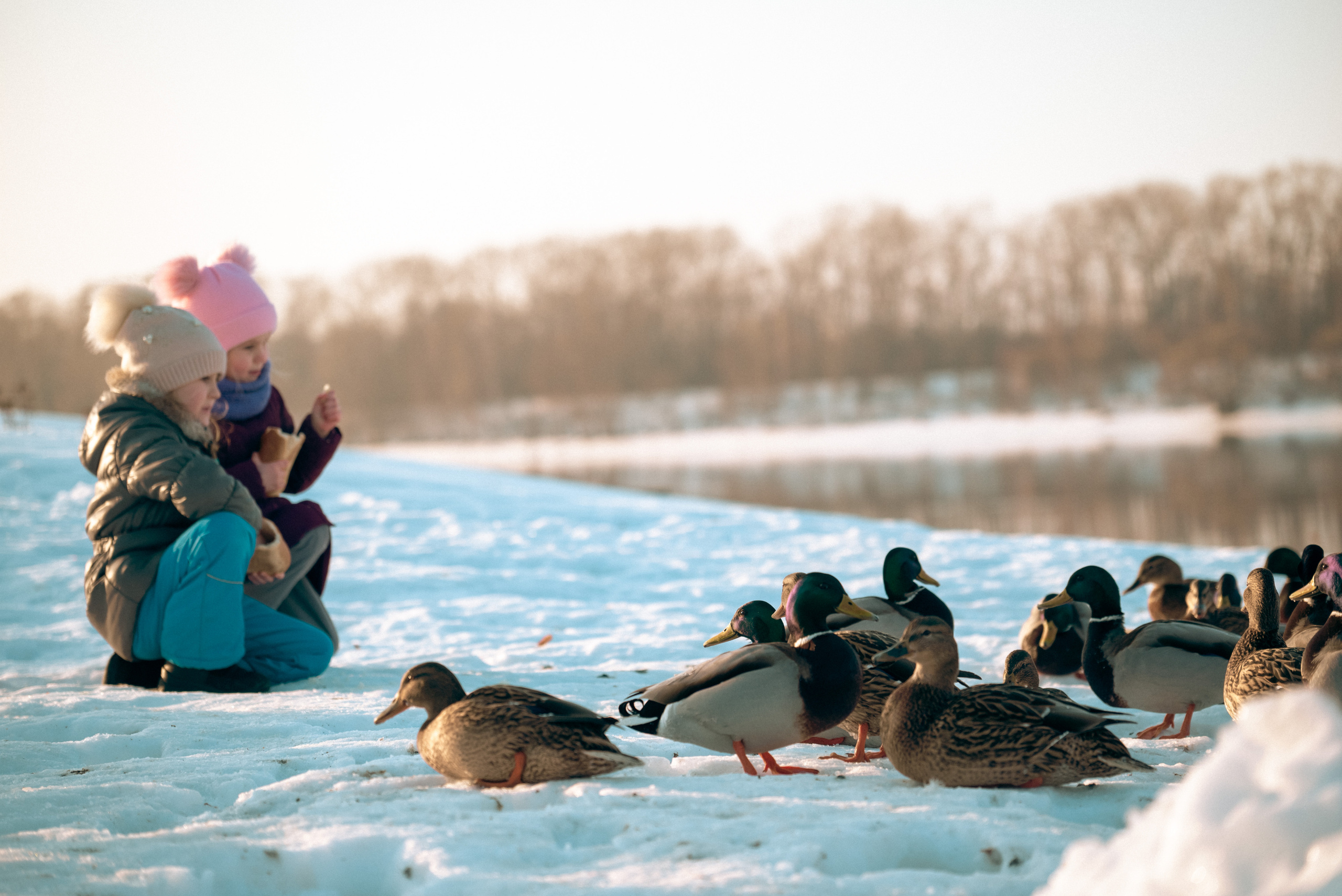 Углич и Калязин. Фотограф Дарья Сафонова Dashulkacss