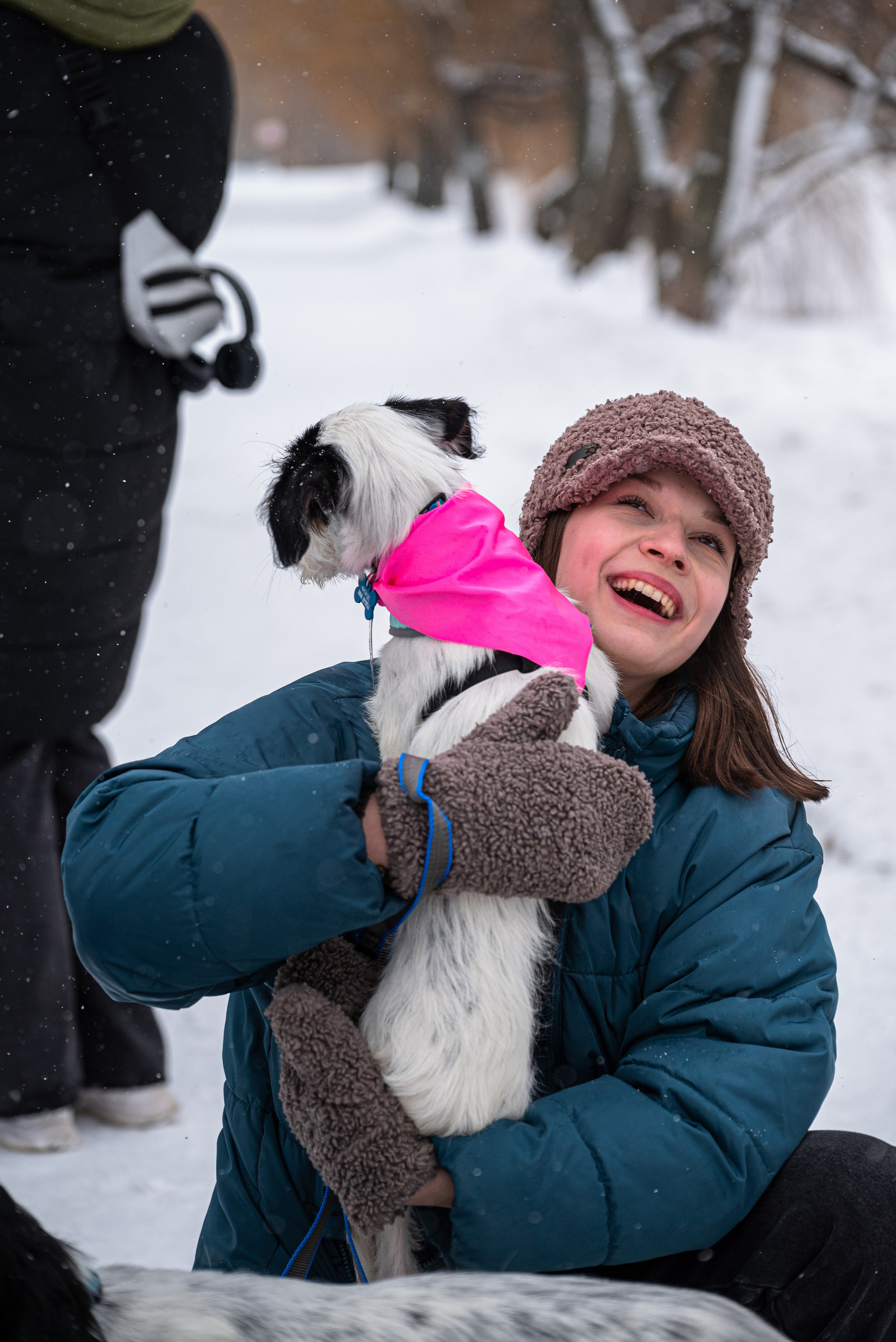 Всем по собаке. Фотограф Дарья Сафонова Dashulkacss