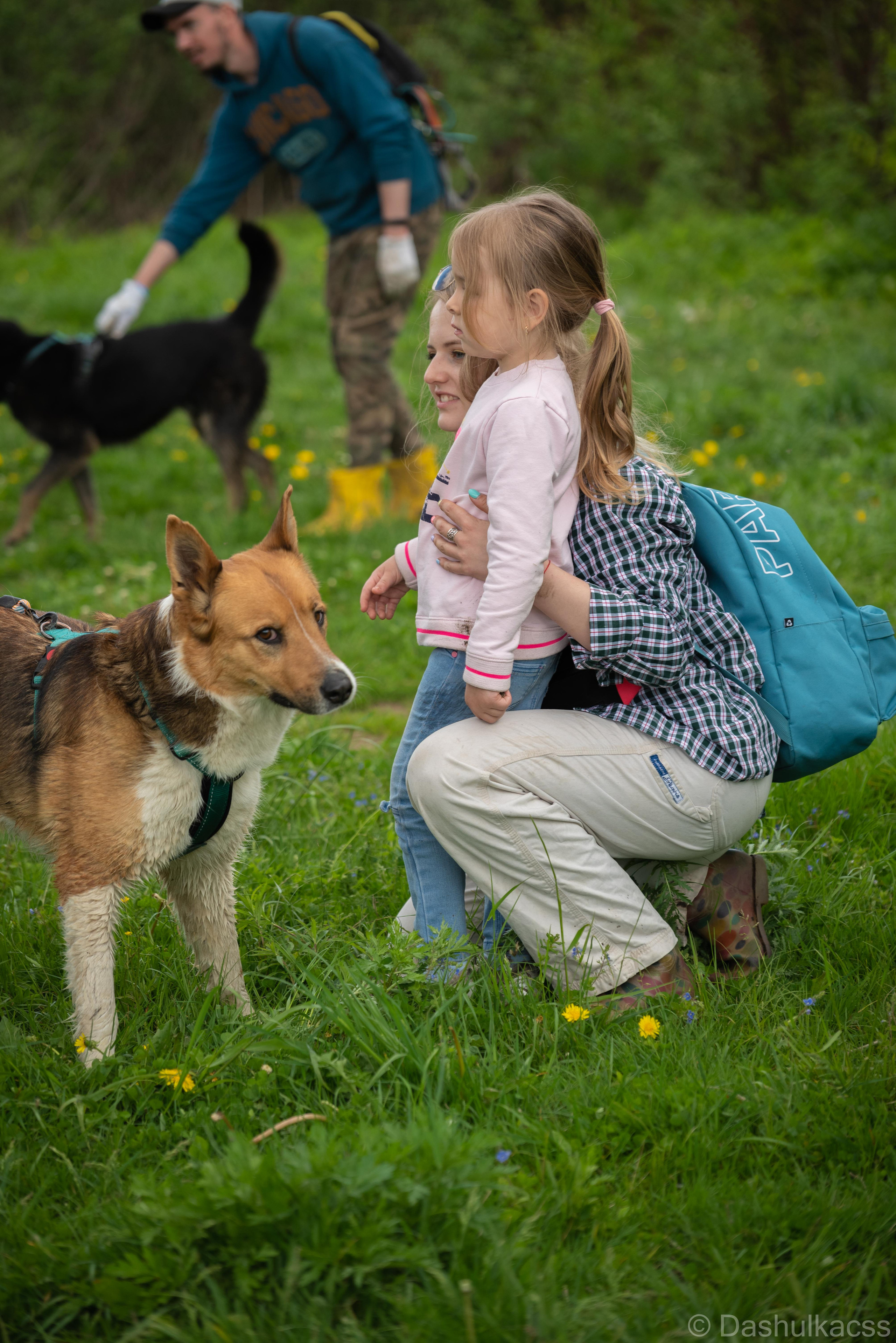 Выезд в приют. Фотограф Дарья Сафонова Dashulkacss