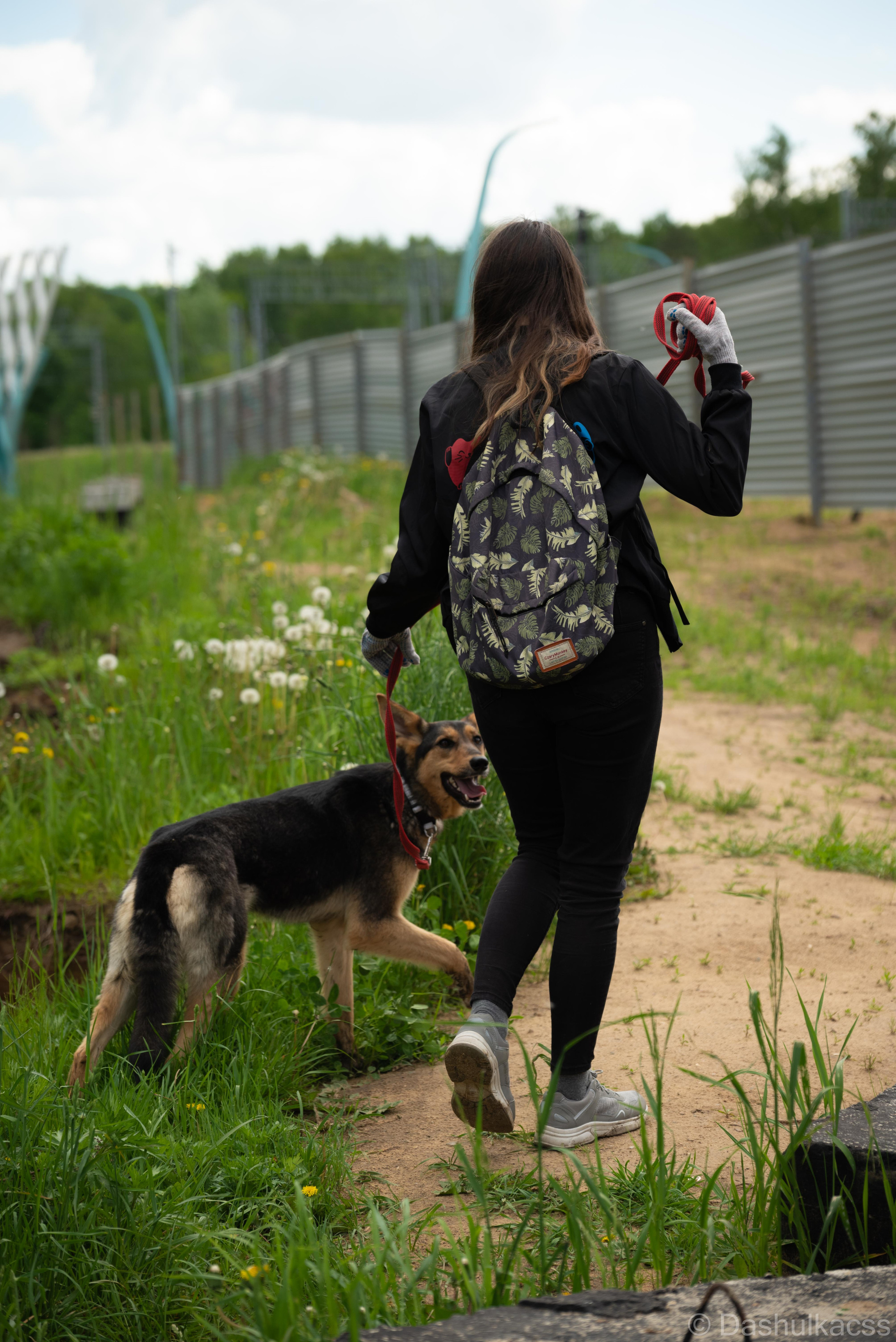 Выезд в приют. Фотограф Дарья Сафонова Dashulkacss