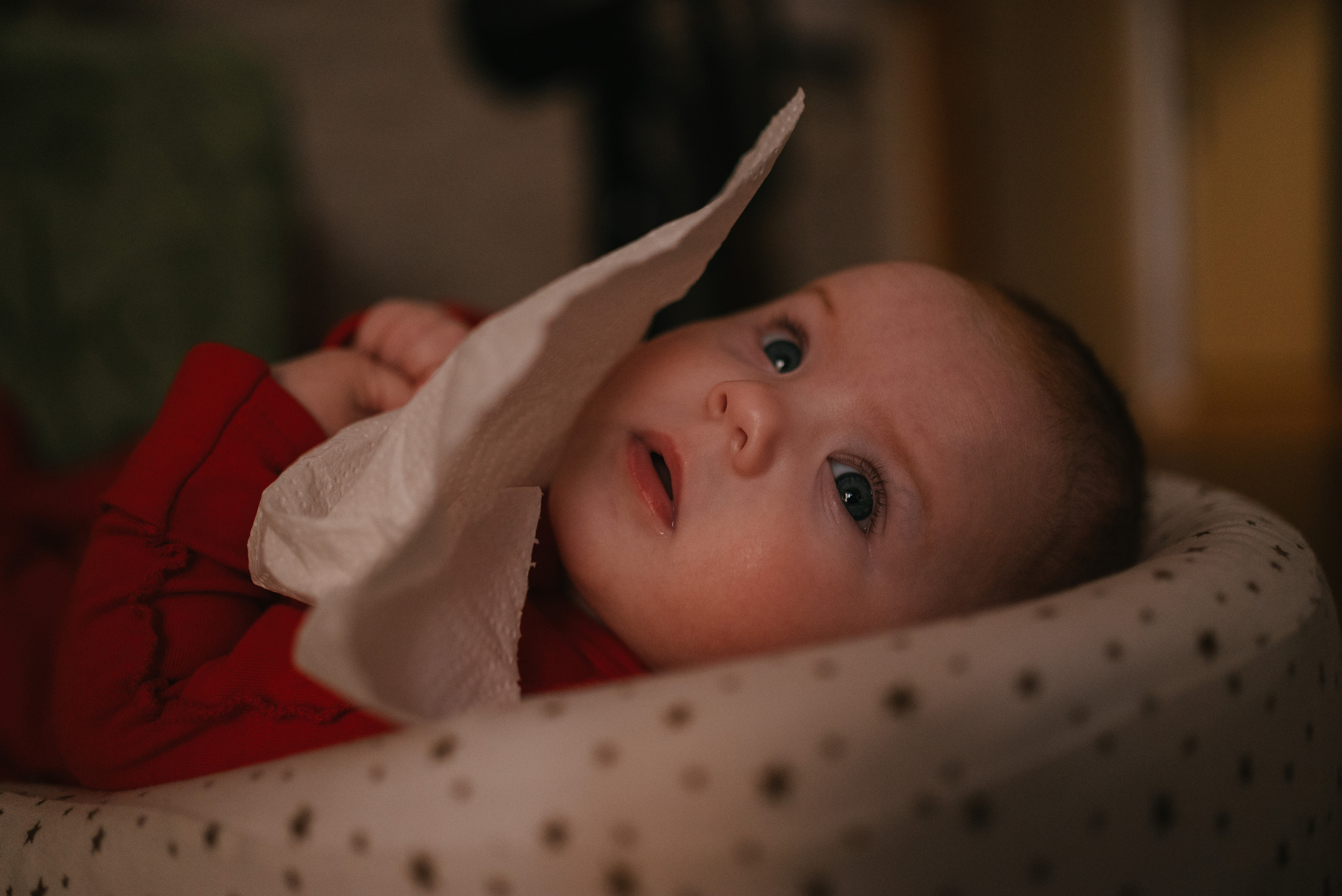 Семья. Фотограф Дарья Сафонова Dashulkacss