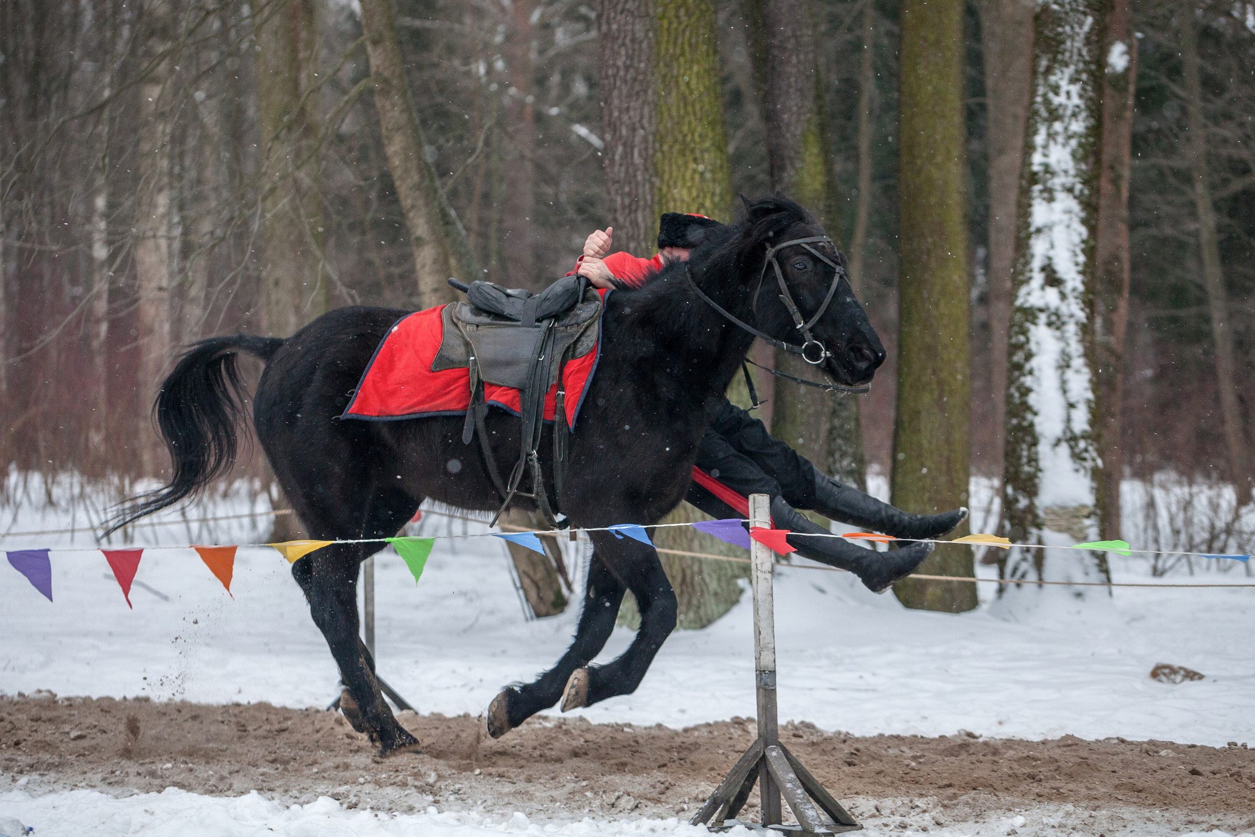 Масленичные гуляния на Елагином острове '23. Семейный и предметный фотограф Мария Львова Санкт-Петербург flitphoto