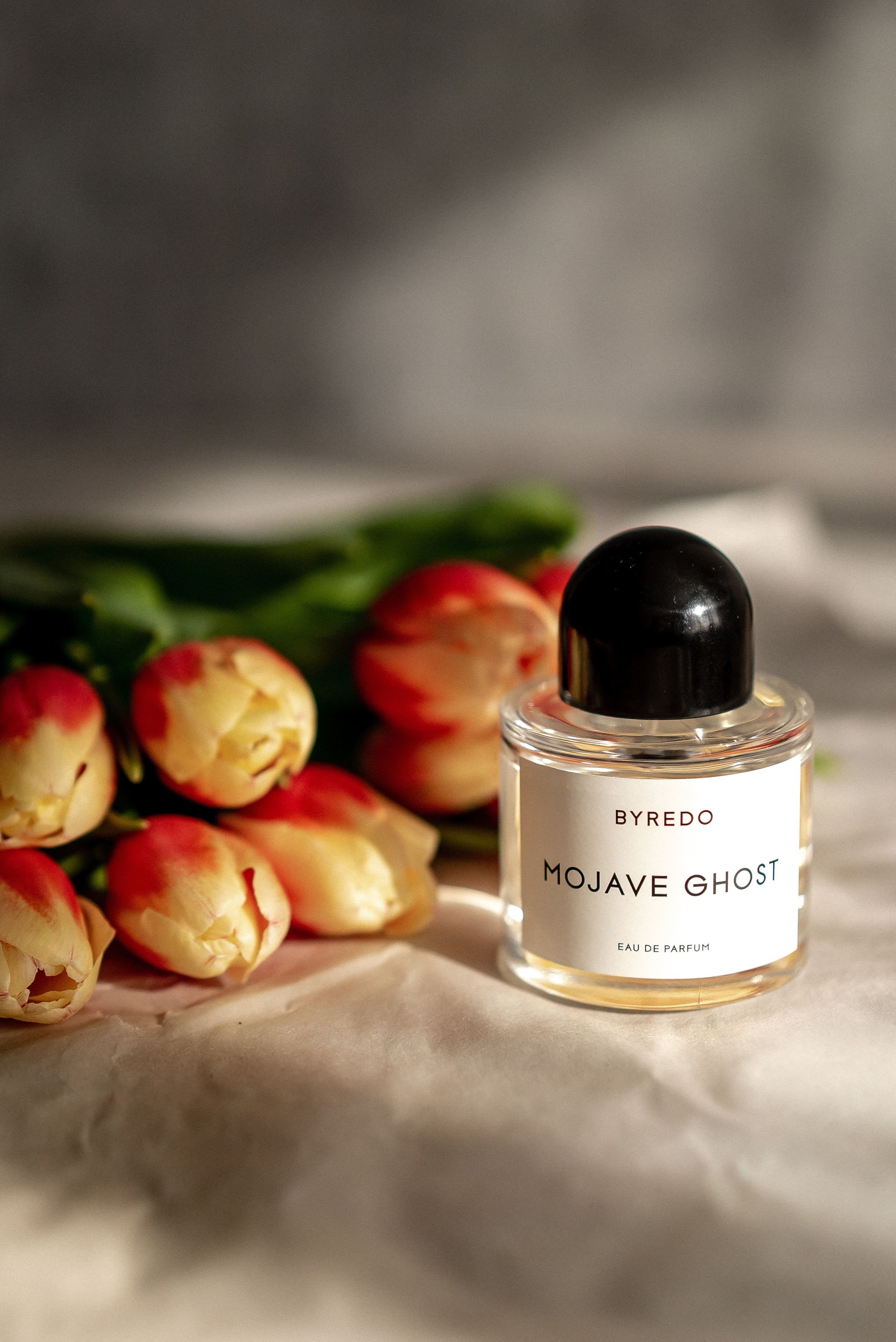 Предметная. Семейный и контент фотограф в Красноярске Власова Екатерина