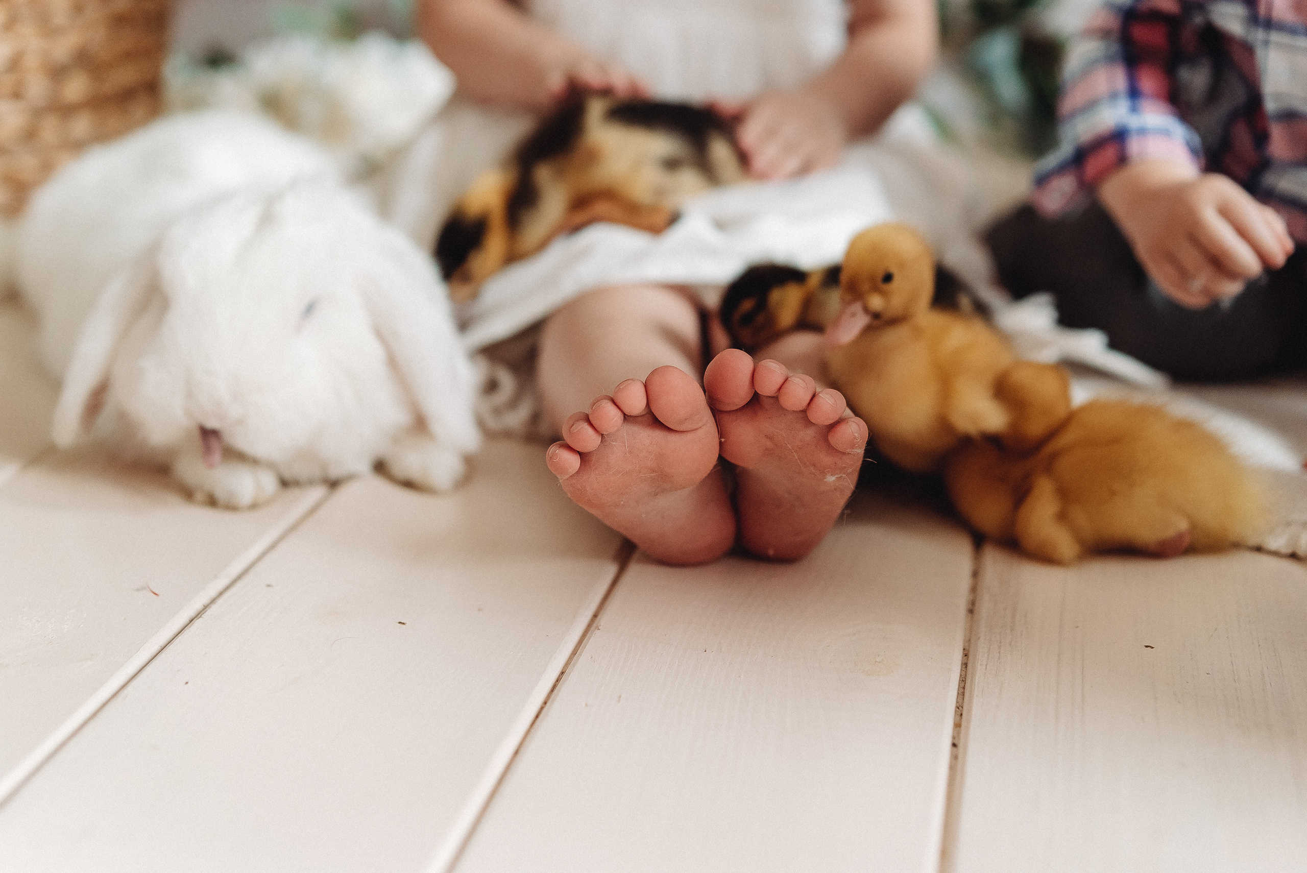 Тематические мини фотосессии. Семейный и контент фотограф в Красноярске Власова Екатерина