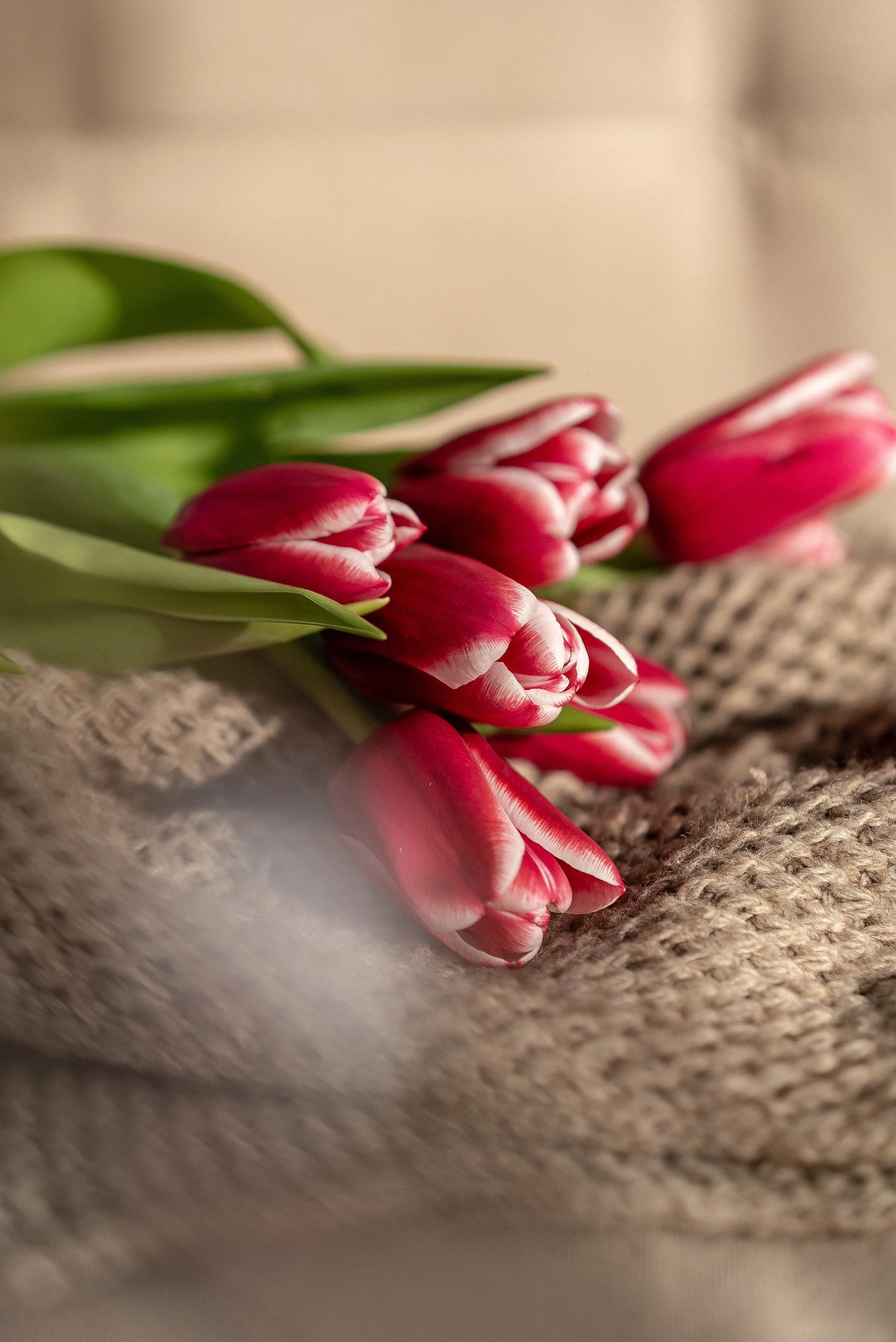 Предметная. Семейный и контент фотограф в Красноярске Власова Екатерина