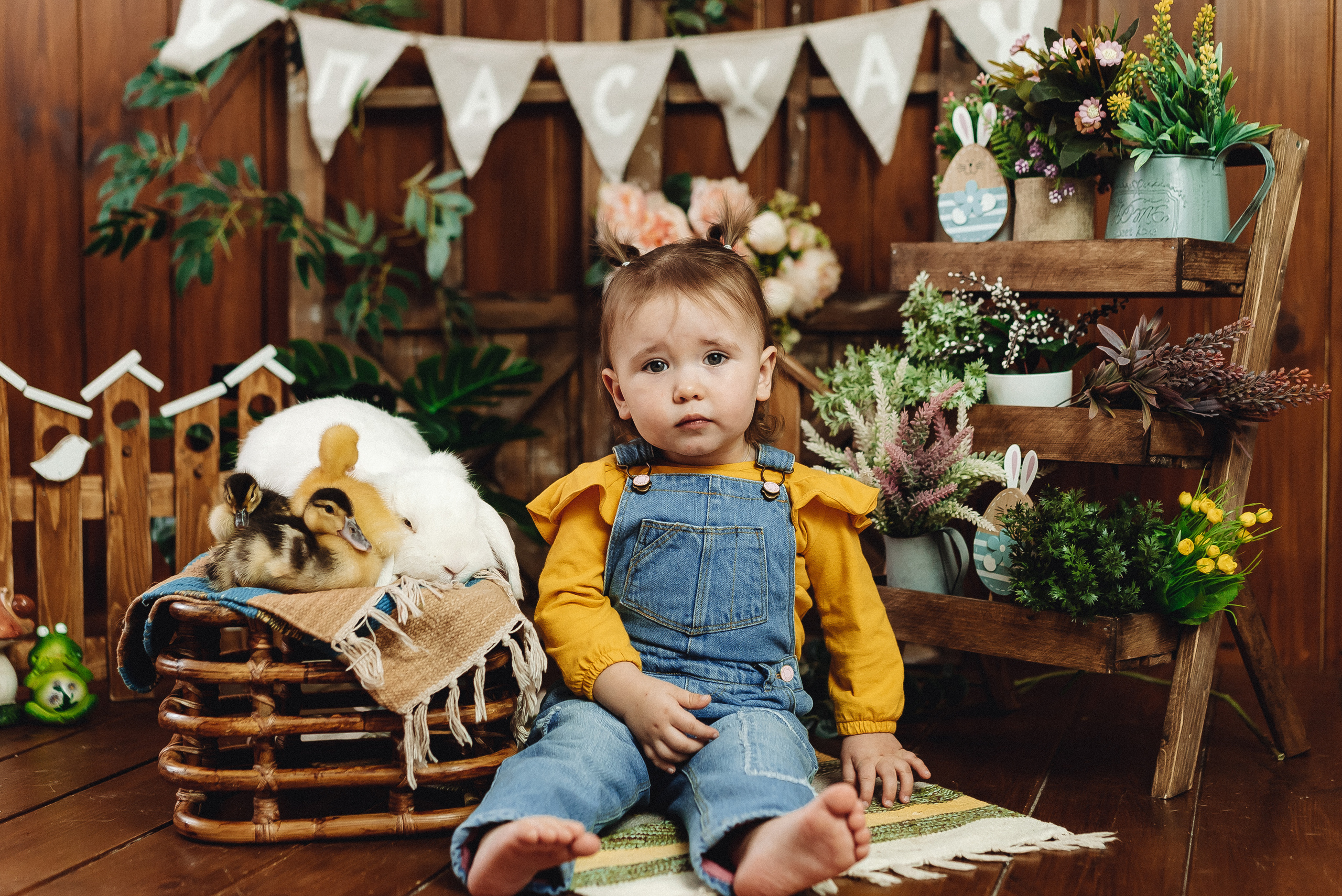 Тематические мини фотосессии. Семейный и контент фотограф в Красноярске Власова Екатерина