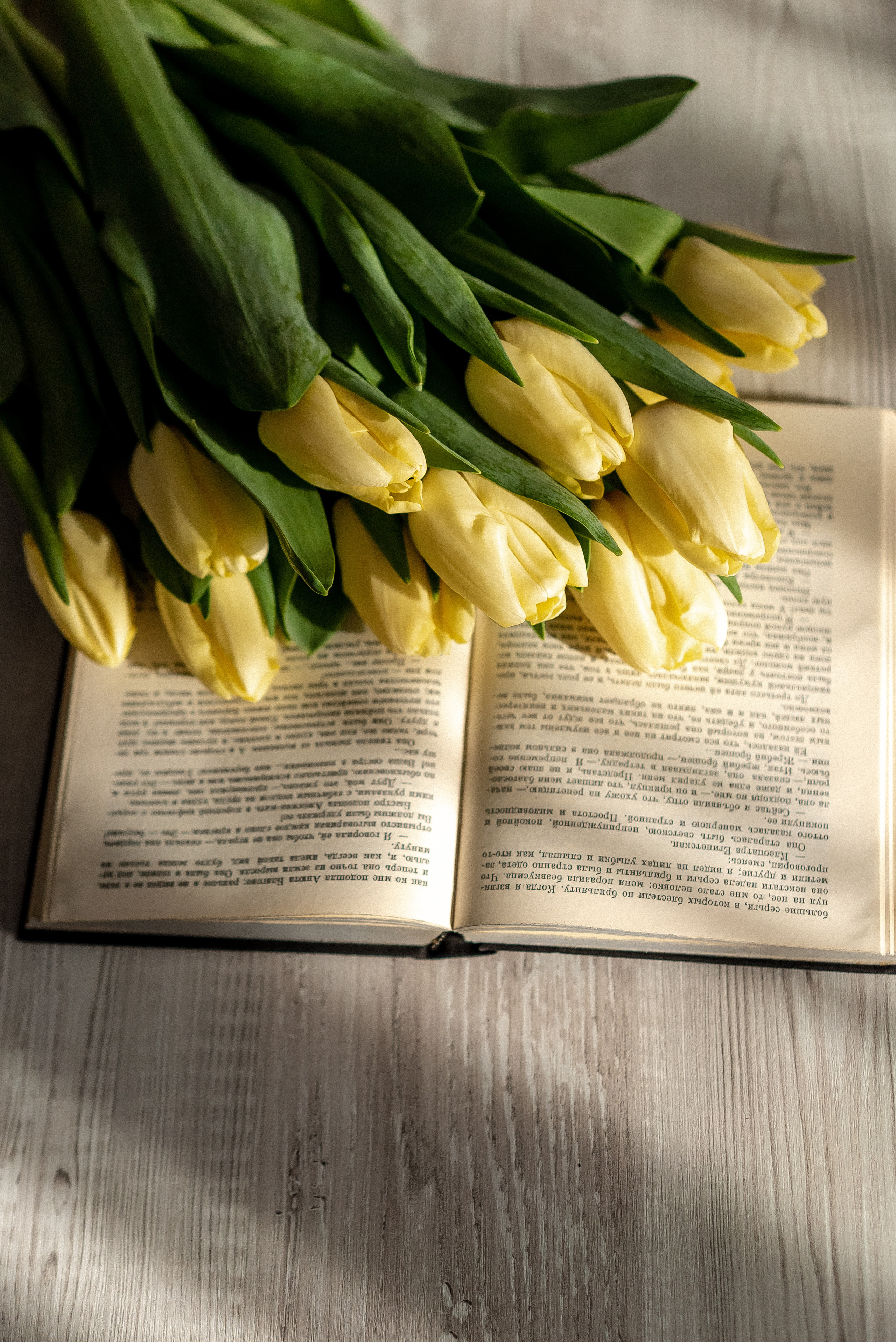 Предметная. Семейный и контент фотограф в Красноярске Власова Екатерина