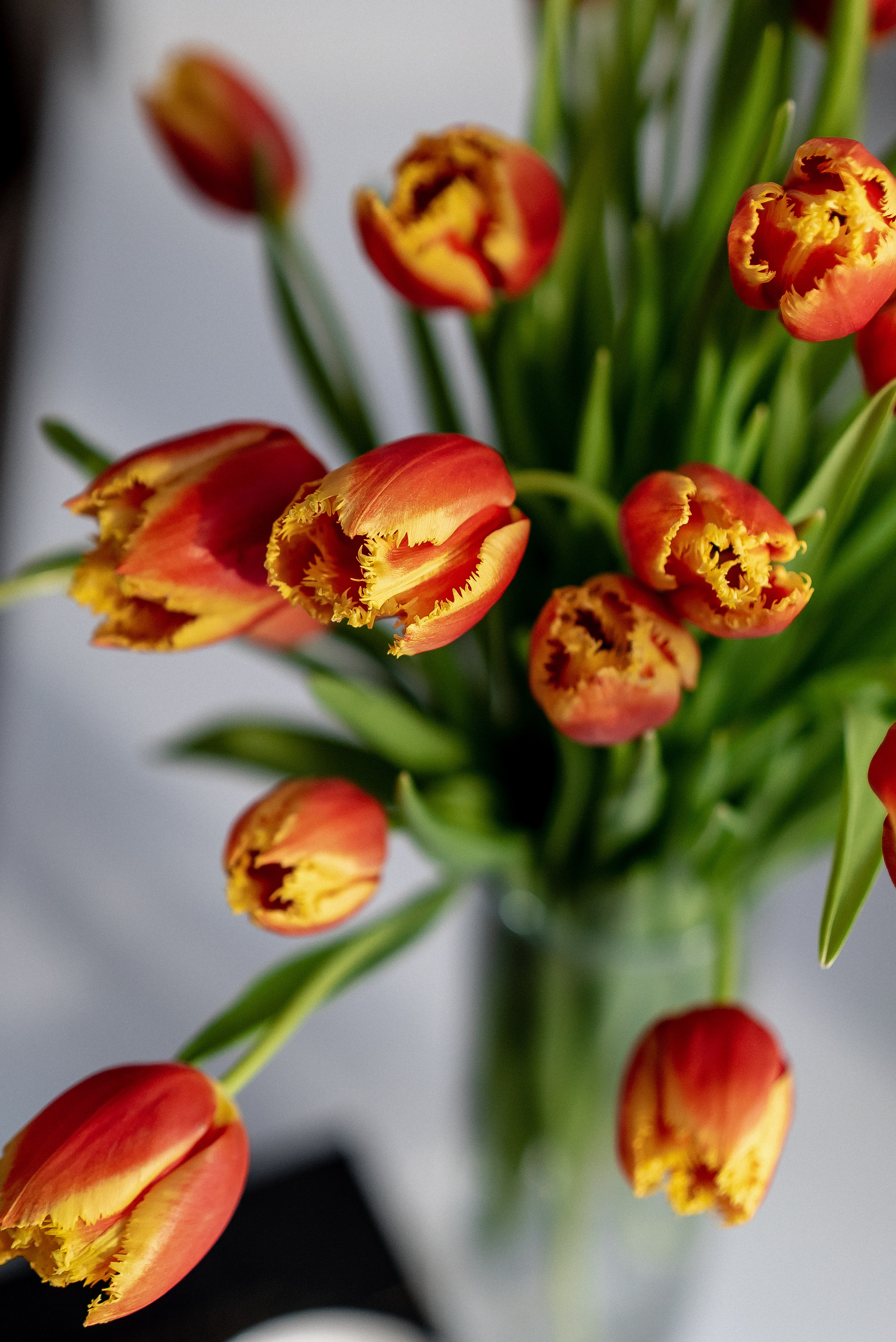 Предметная. Семейный и контент фотограф в Красноярске Власова Екатерина