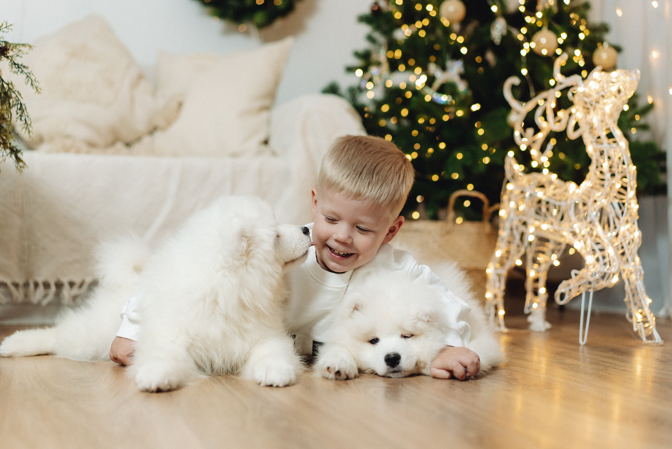 Новогодние фотосессии. Семейный и контент фотограф в Красноярске Власова Екатерина