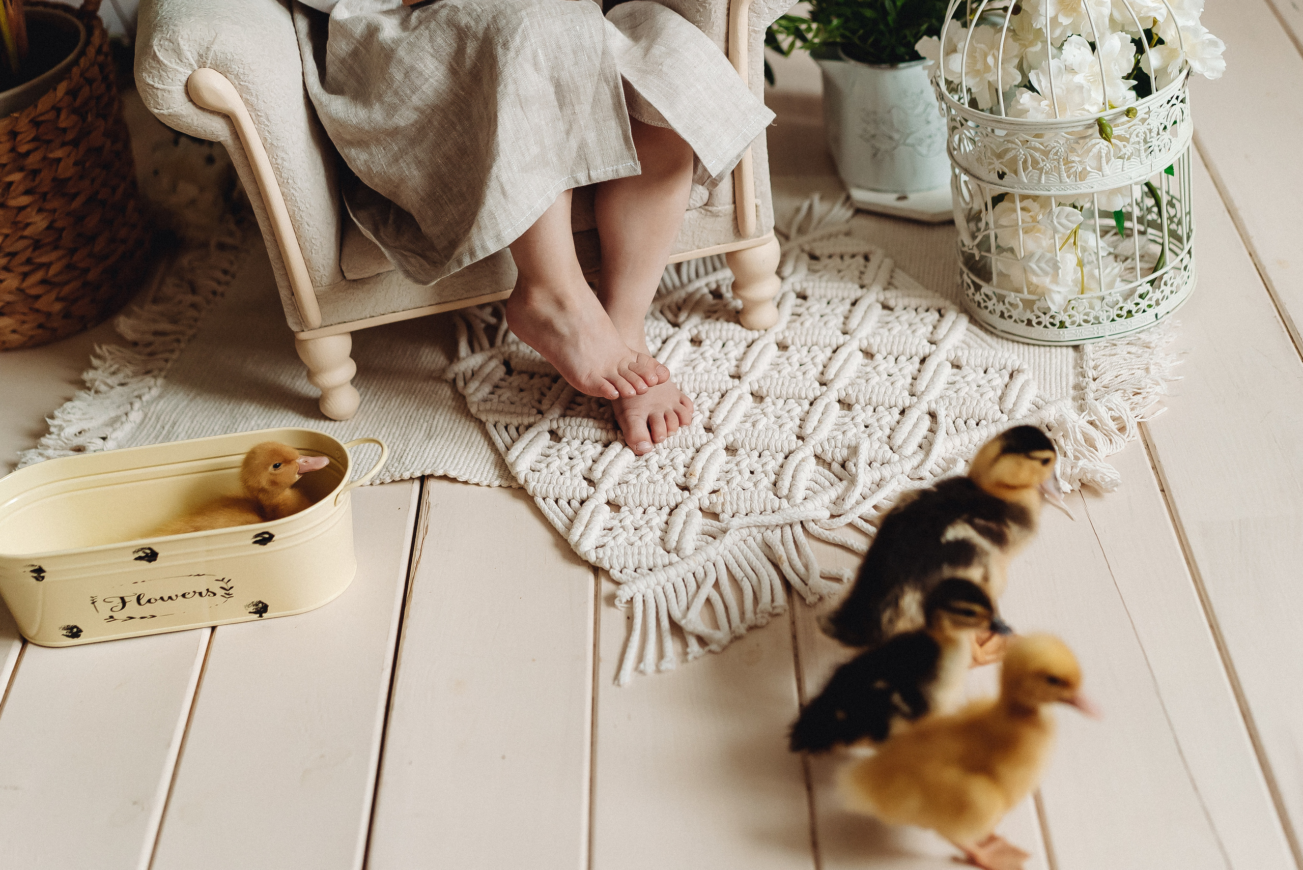 Тематические мини фотосессии. Семейный и контент фотограф в Красноярске Власова Екатерина