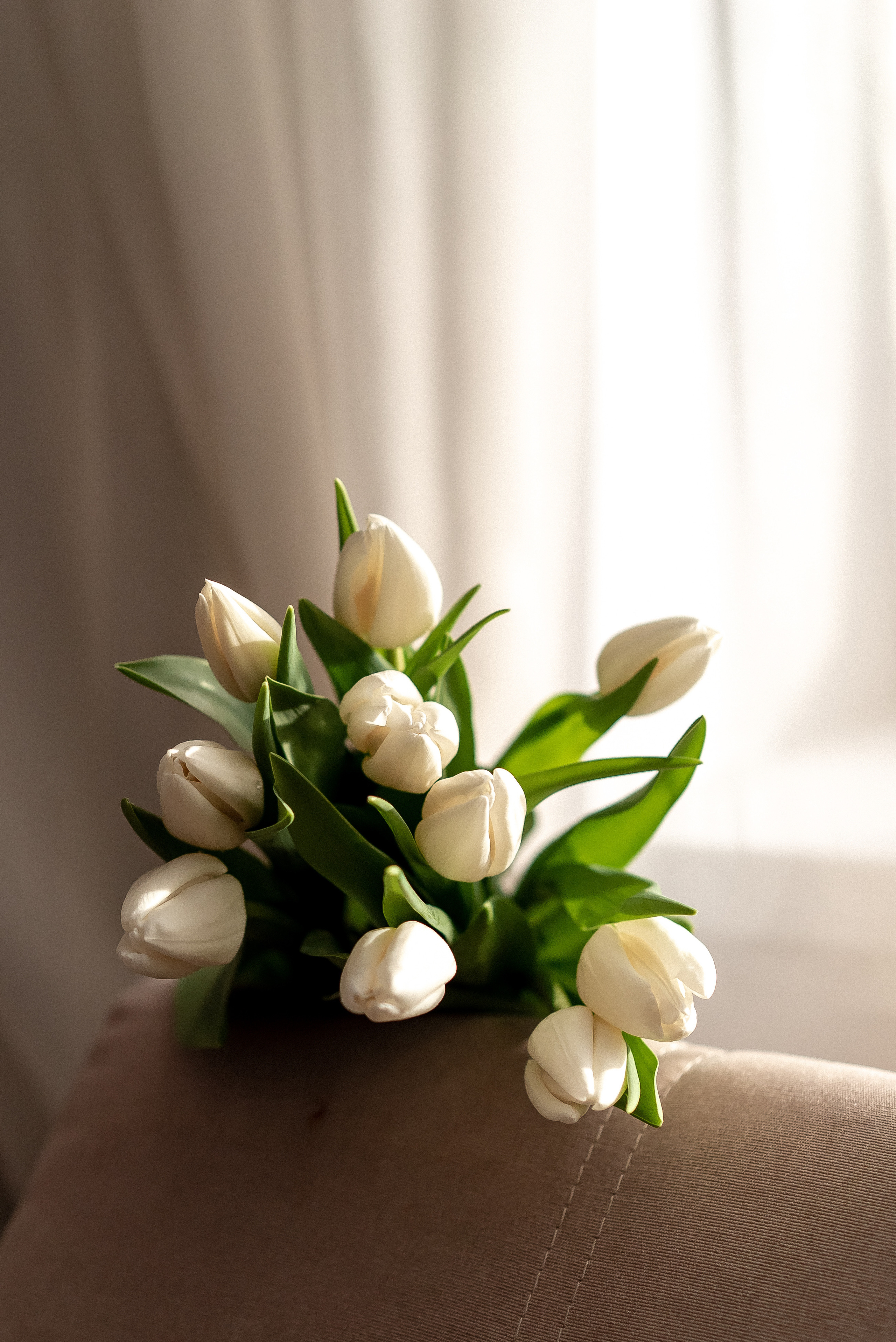 Предметная. Семейный и контент фотограф в Красноярске Власова Екатерина