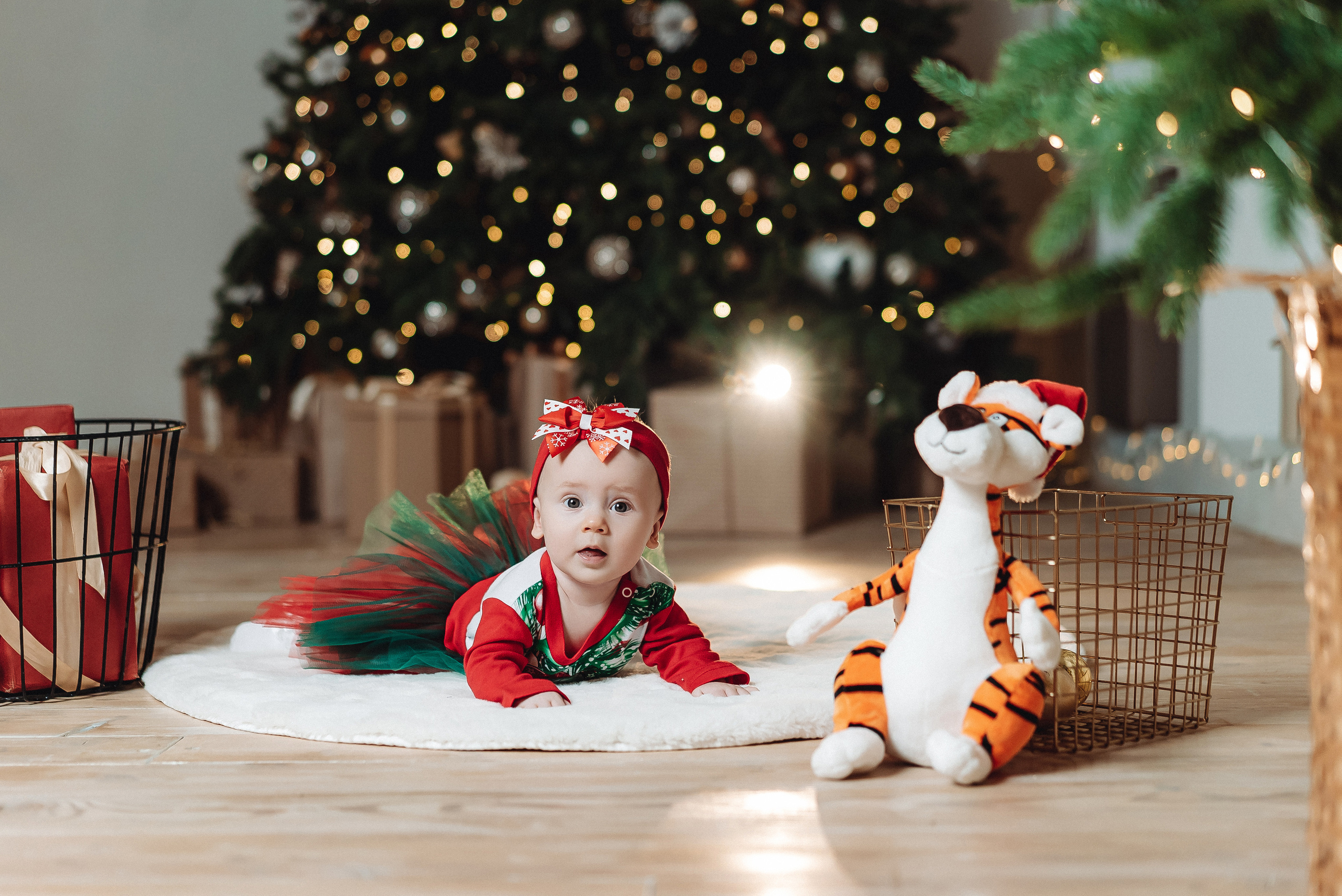 Новогодние фотосессии. Семейный и контент фотограф в Красноярске Власова Екатерина