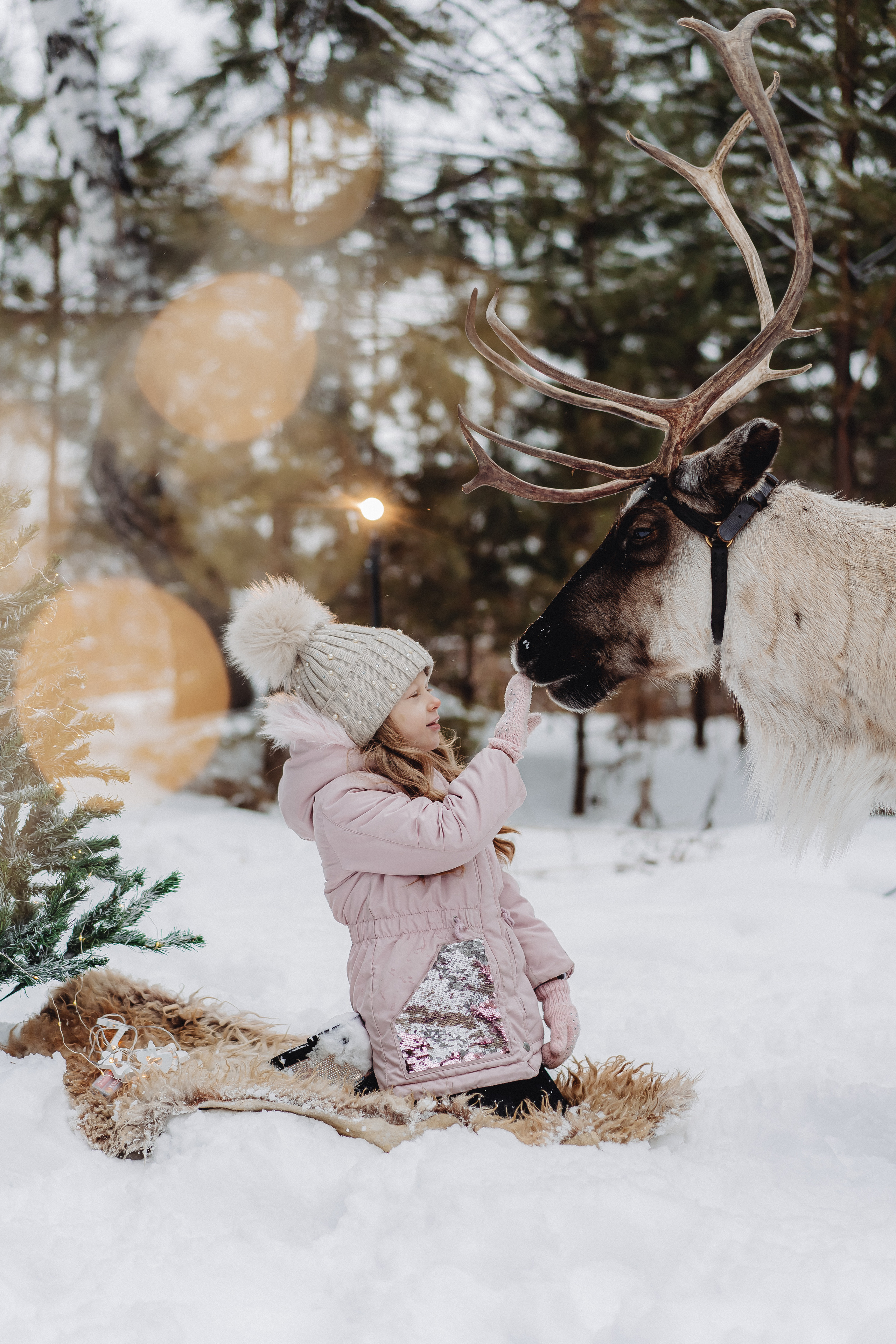 Новогодние фотосессии. Семейный и контент фотограф в Красноярске Власова Екатерина