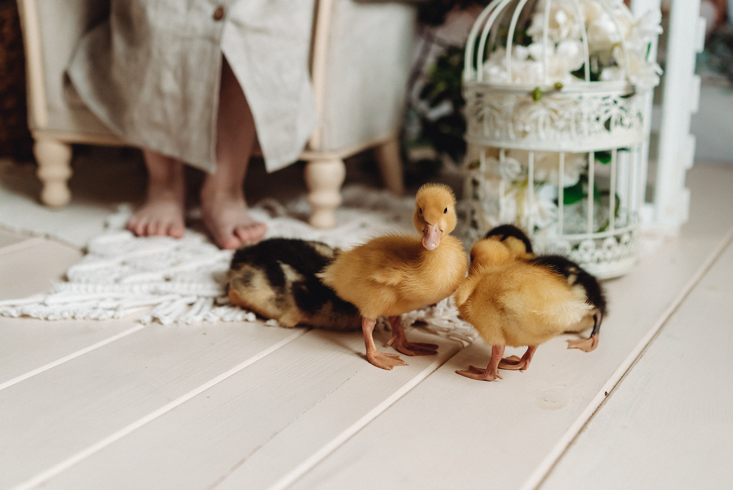 Тематические мини фотосессии. Семейный и контент фотограф в Красноярске Власова Екатерина