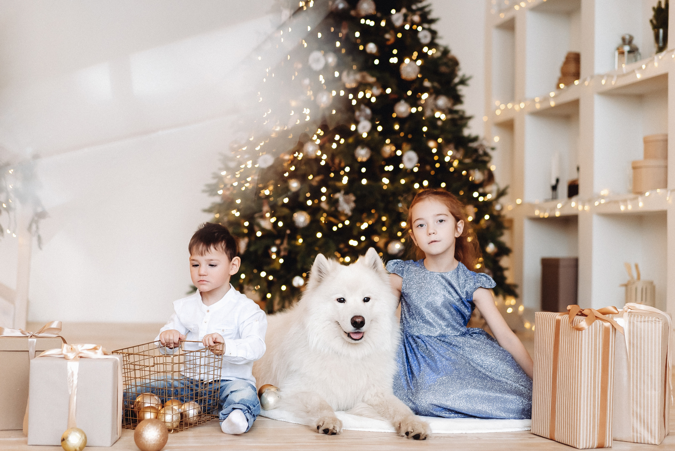 Новогодние фотосессии. Семейный и контент фотограф в Красноярске Власова Екатерина