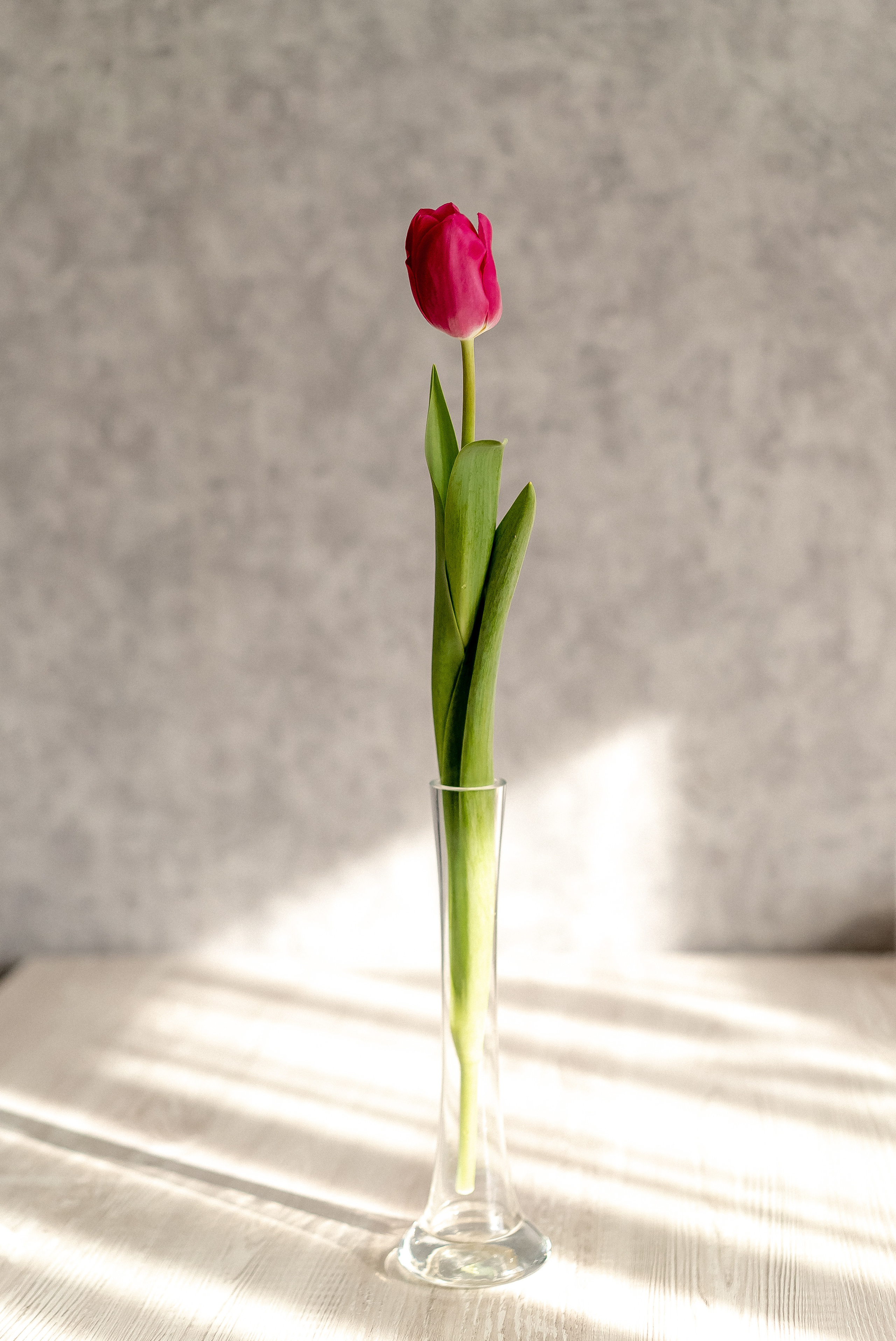 Предметная. Семейный и контент фотограф в Красноярске Власова Екатерина