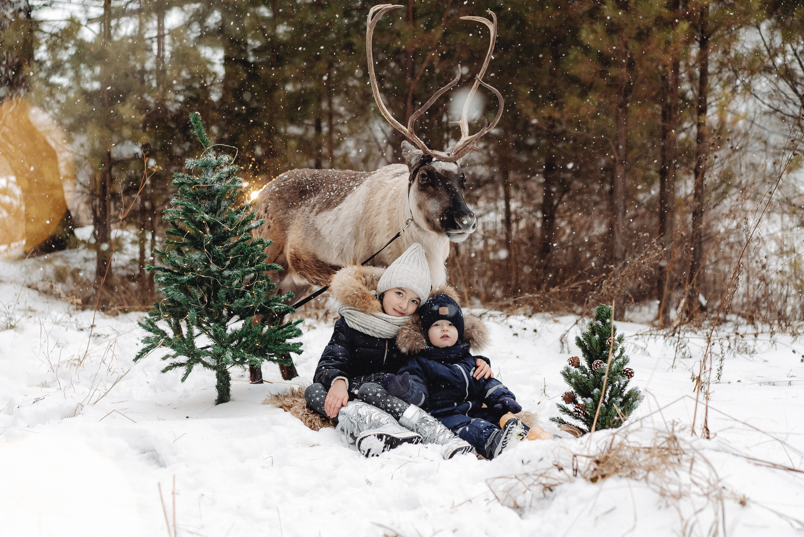 На природе. Семейный и контент фотограф в Красноярске Власова Екатерина