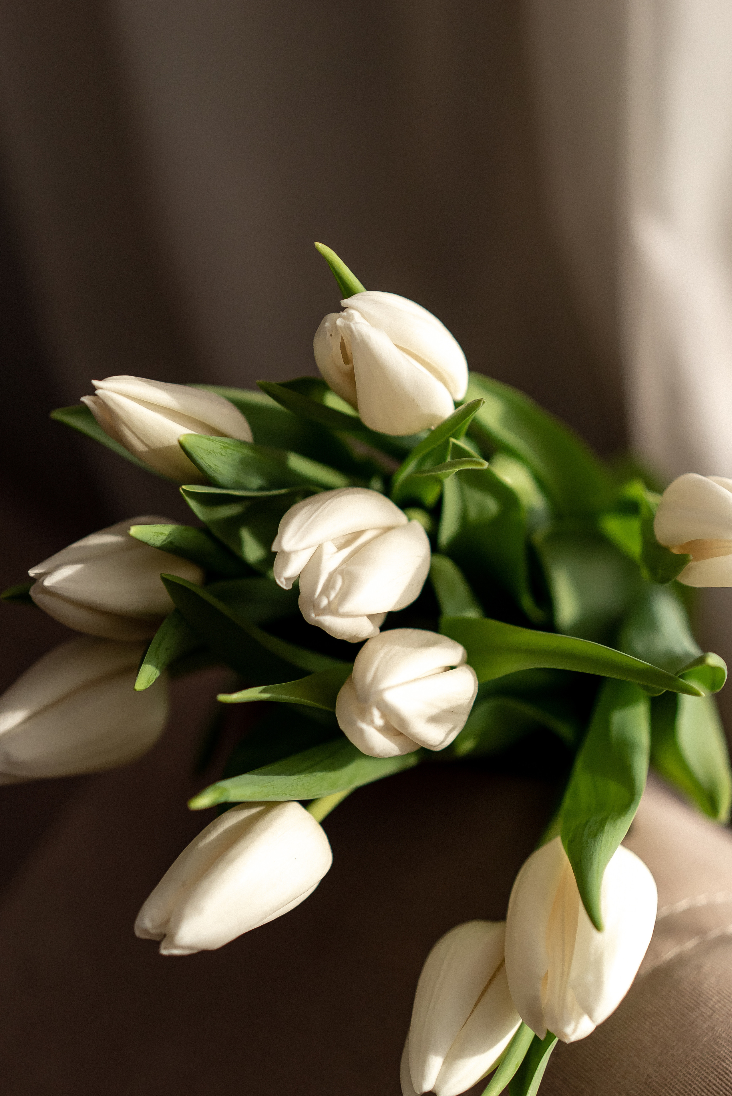 Предметная. Семейный и контент фотограф в Красноярске Власова Екатерина