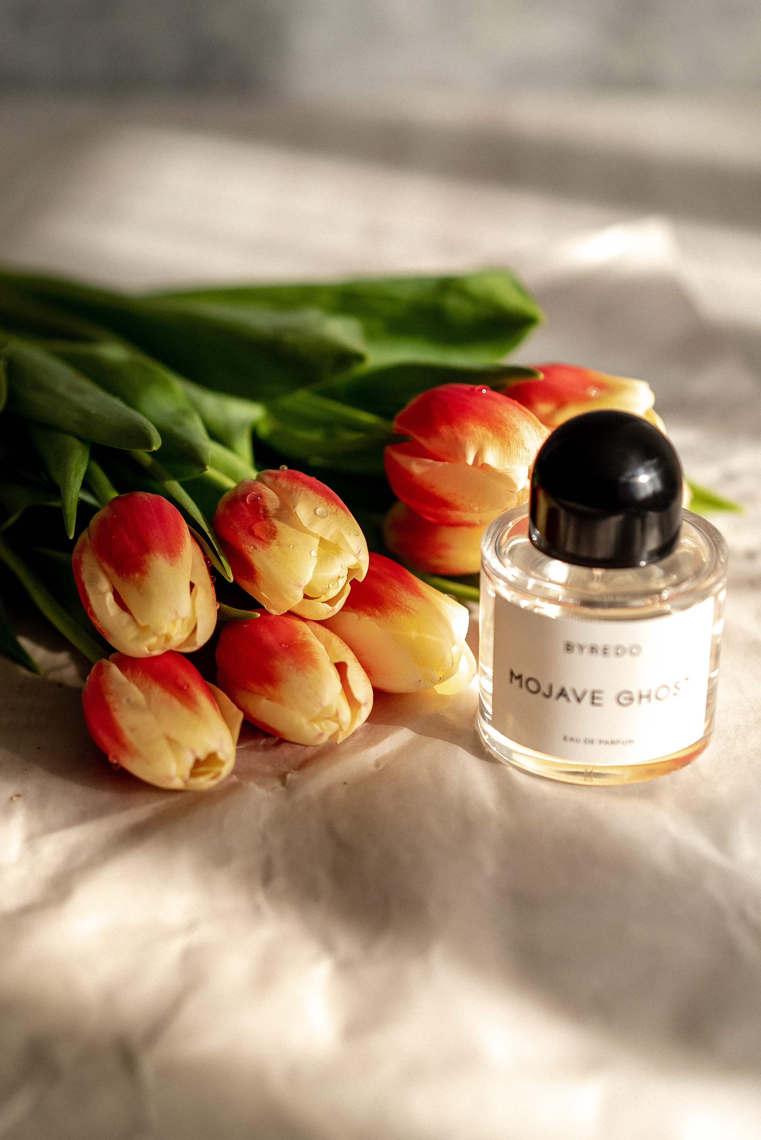 Предметная. Семейный и контент фотограф в Красноярске Власова Екатерина