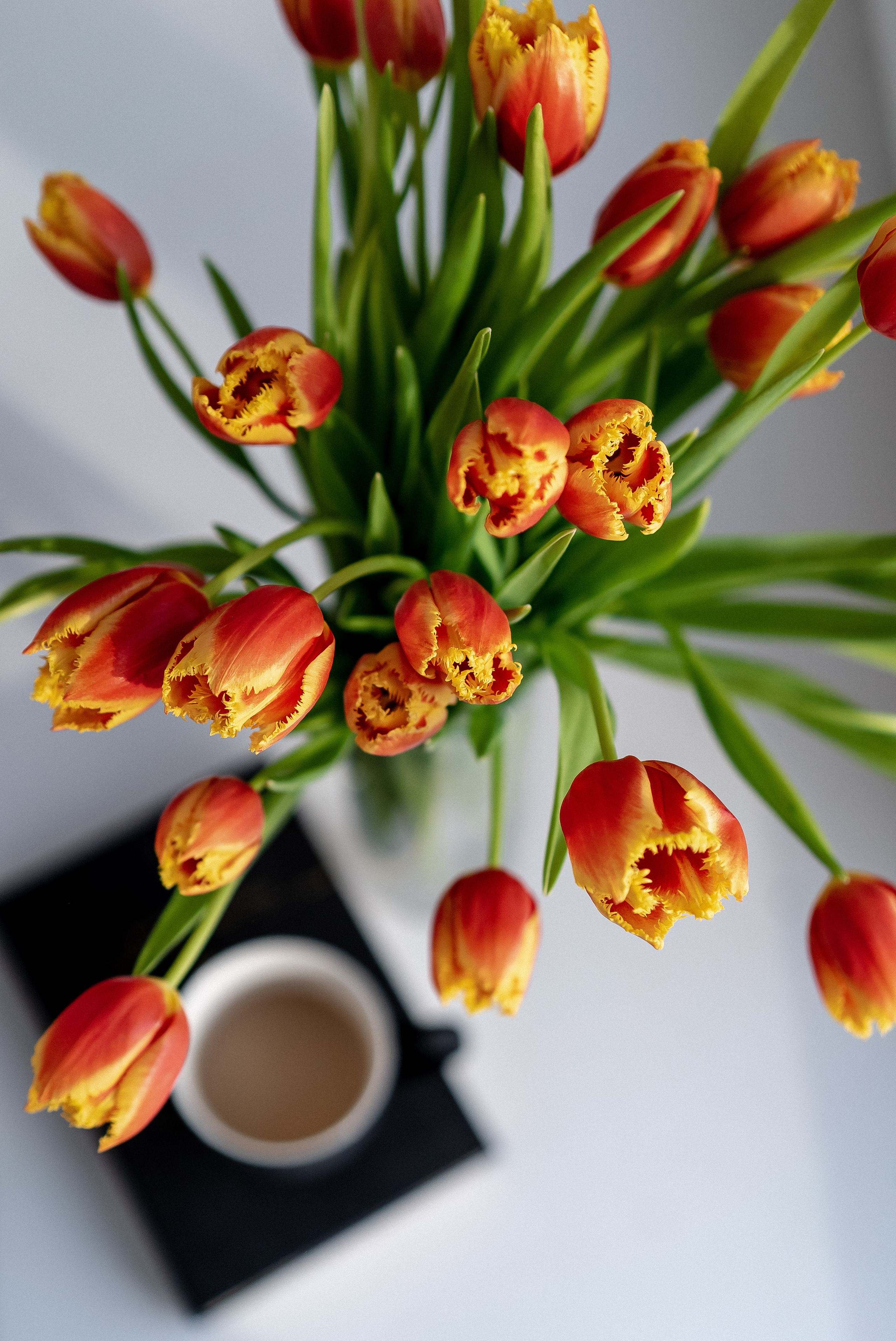 Предметная. Семейный и контент фотограф в Красноярске Власова Екатерина