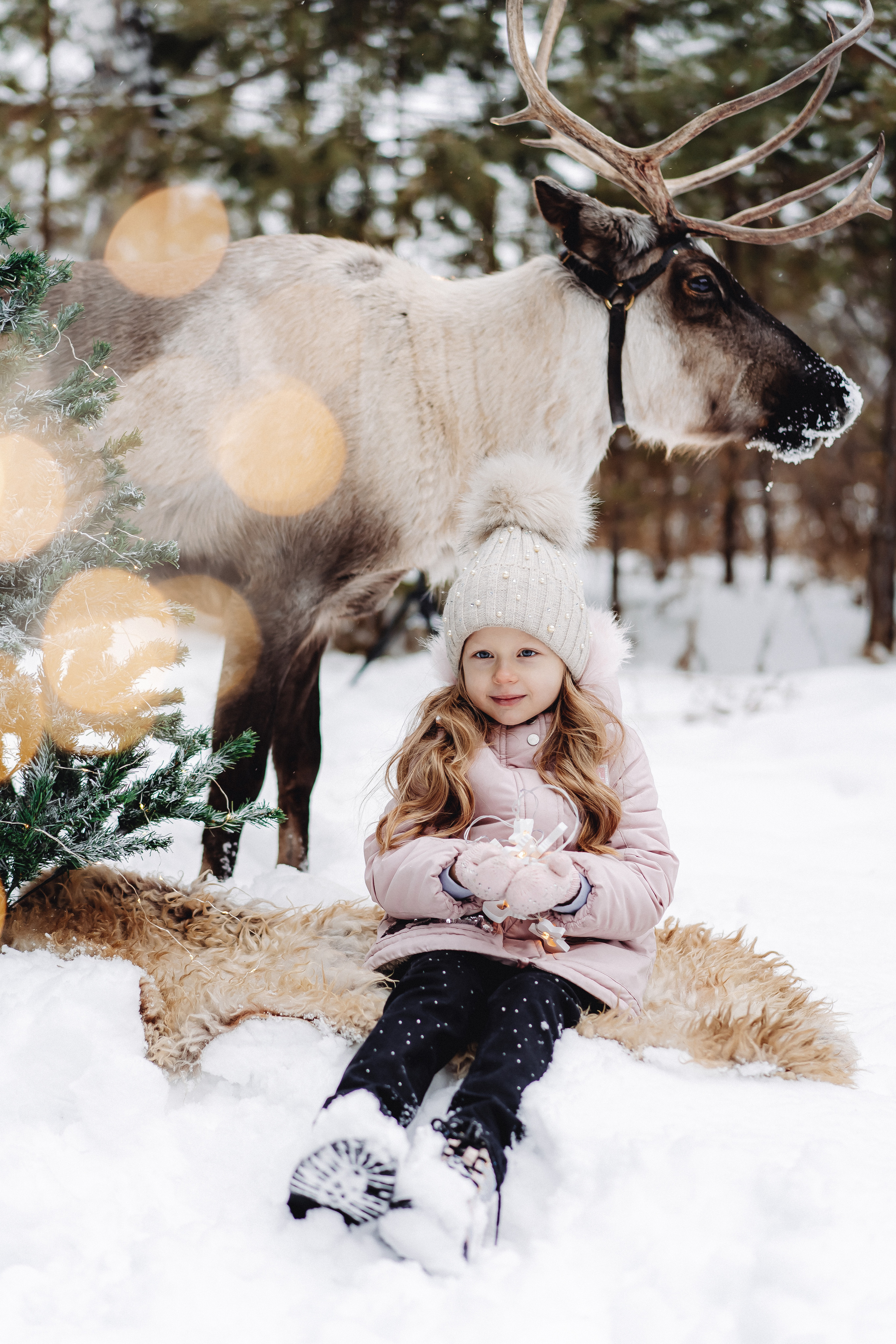 Новогодние фотосессии. Семейный и контент фотограф в Красноярске Власова Екатерина