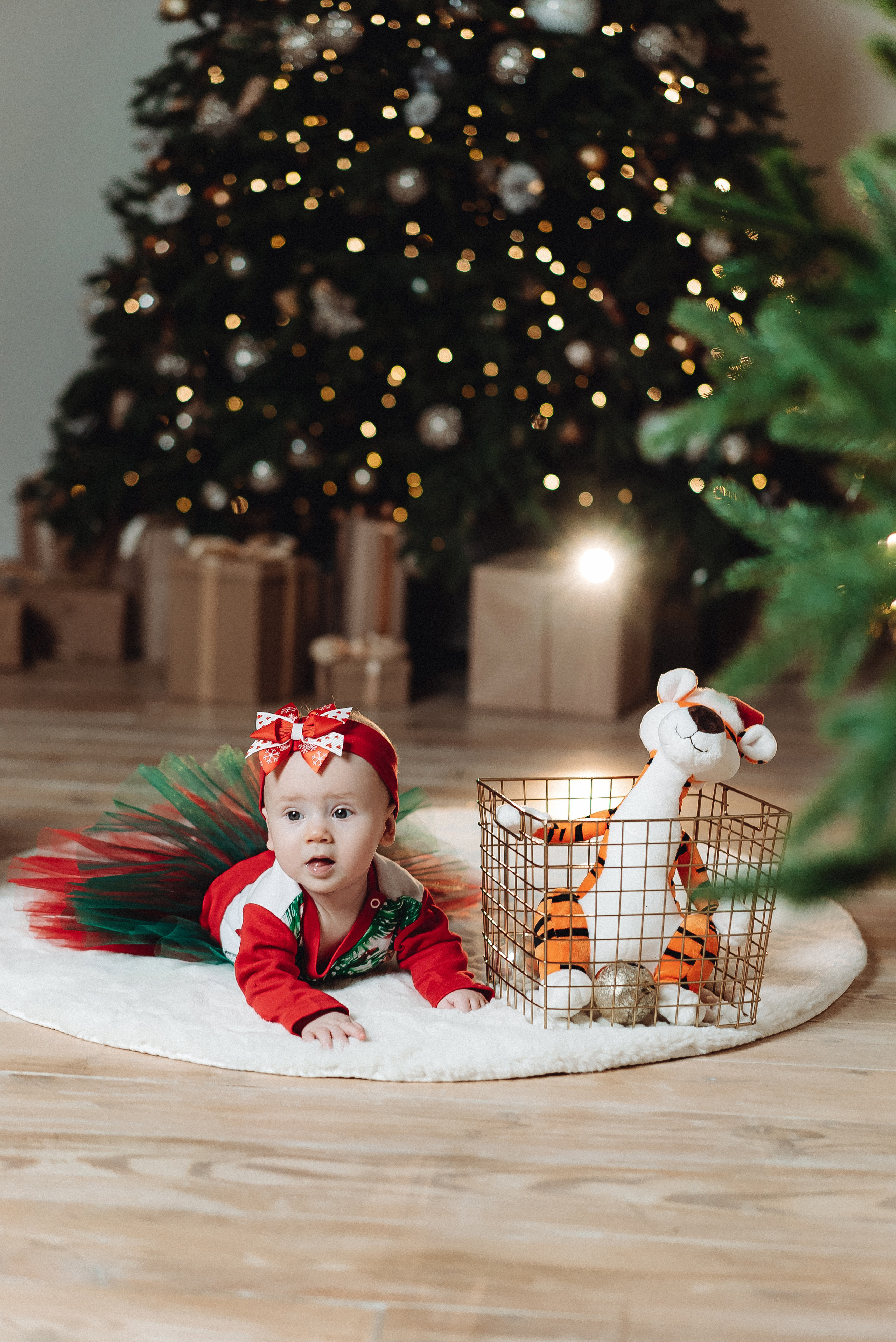 Новогодние фотосессии. Семейный и контент фотограф в Красноярске Власова Екатерина