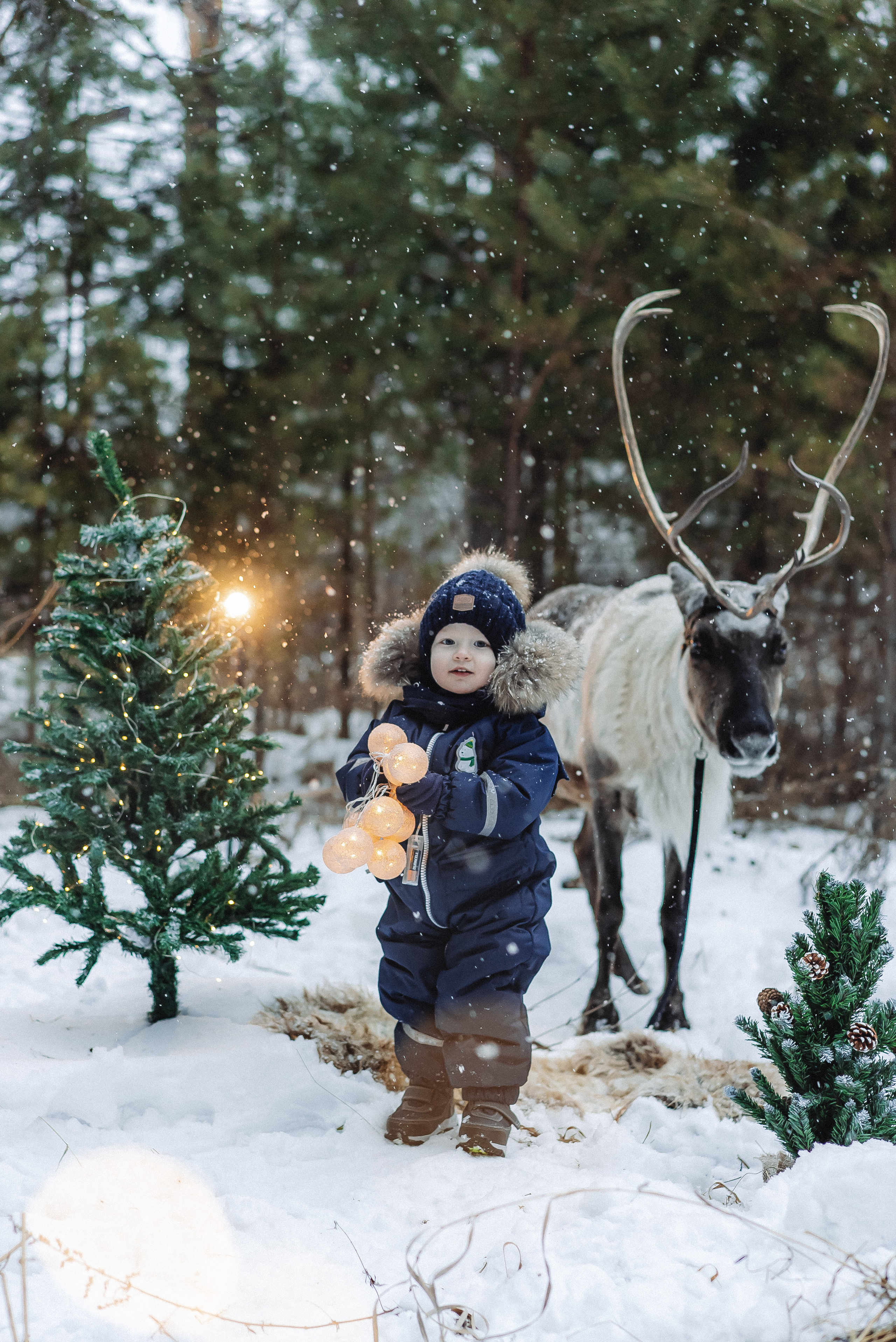 Новогодние фотосессии. Семейный и контент фотограф в Красноярске Власова Екатерина