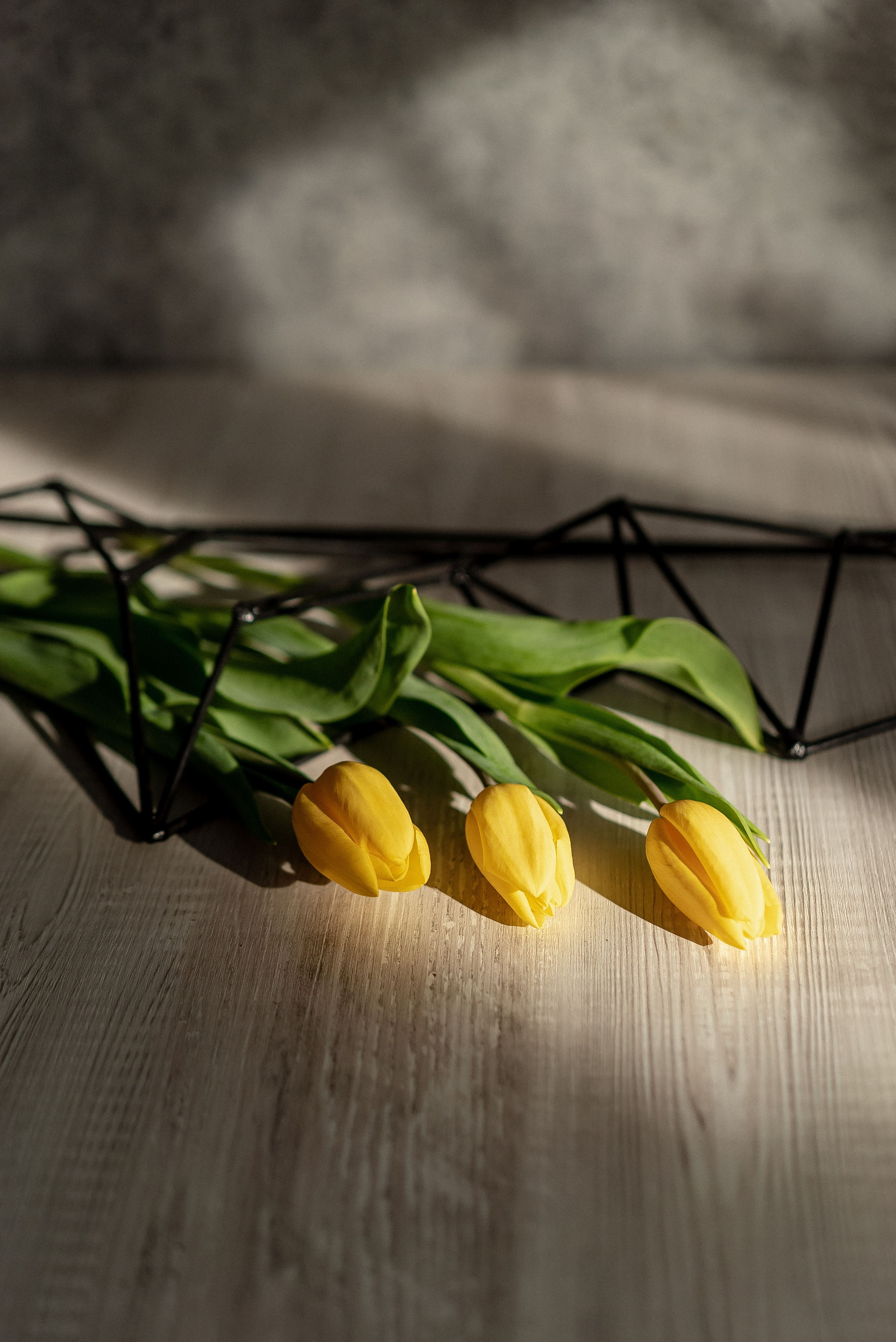 Предметная. Семейный и контент фотограф в Красноярске Власова Екатерина