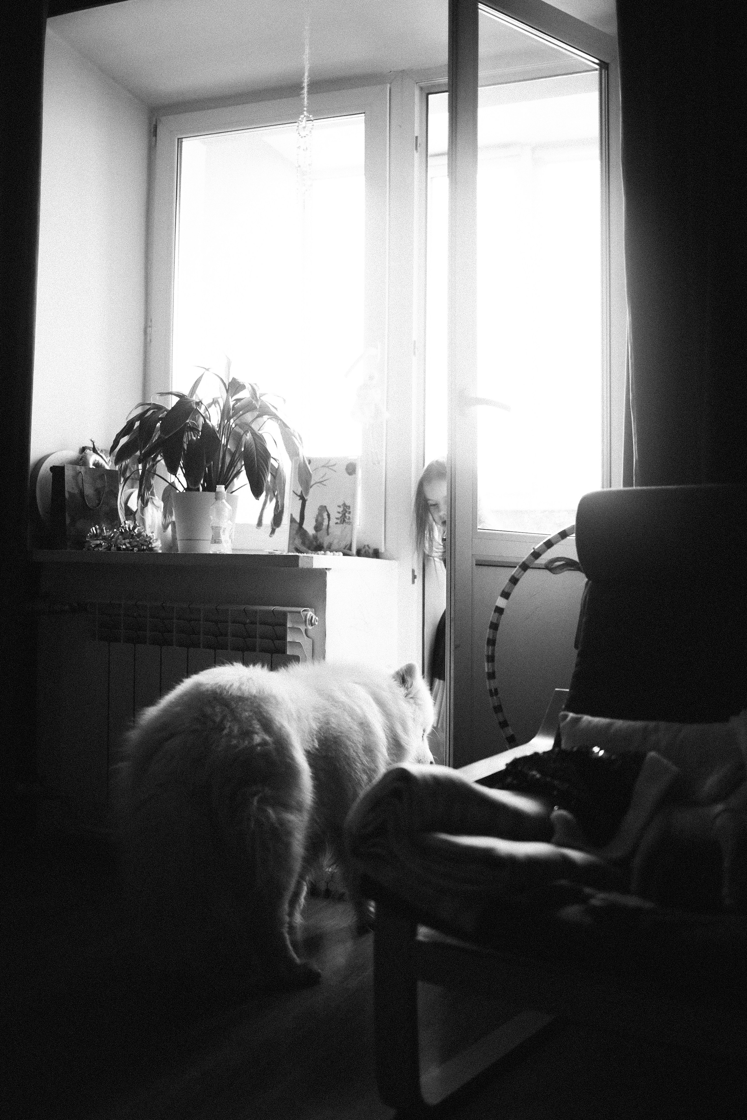 Домашний репортаж. Семейный фотограф в Тюмени | Алёна Снопкова