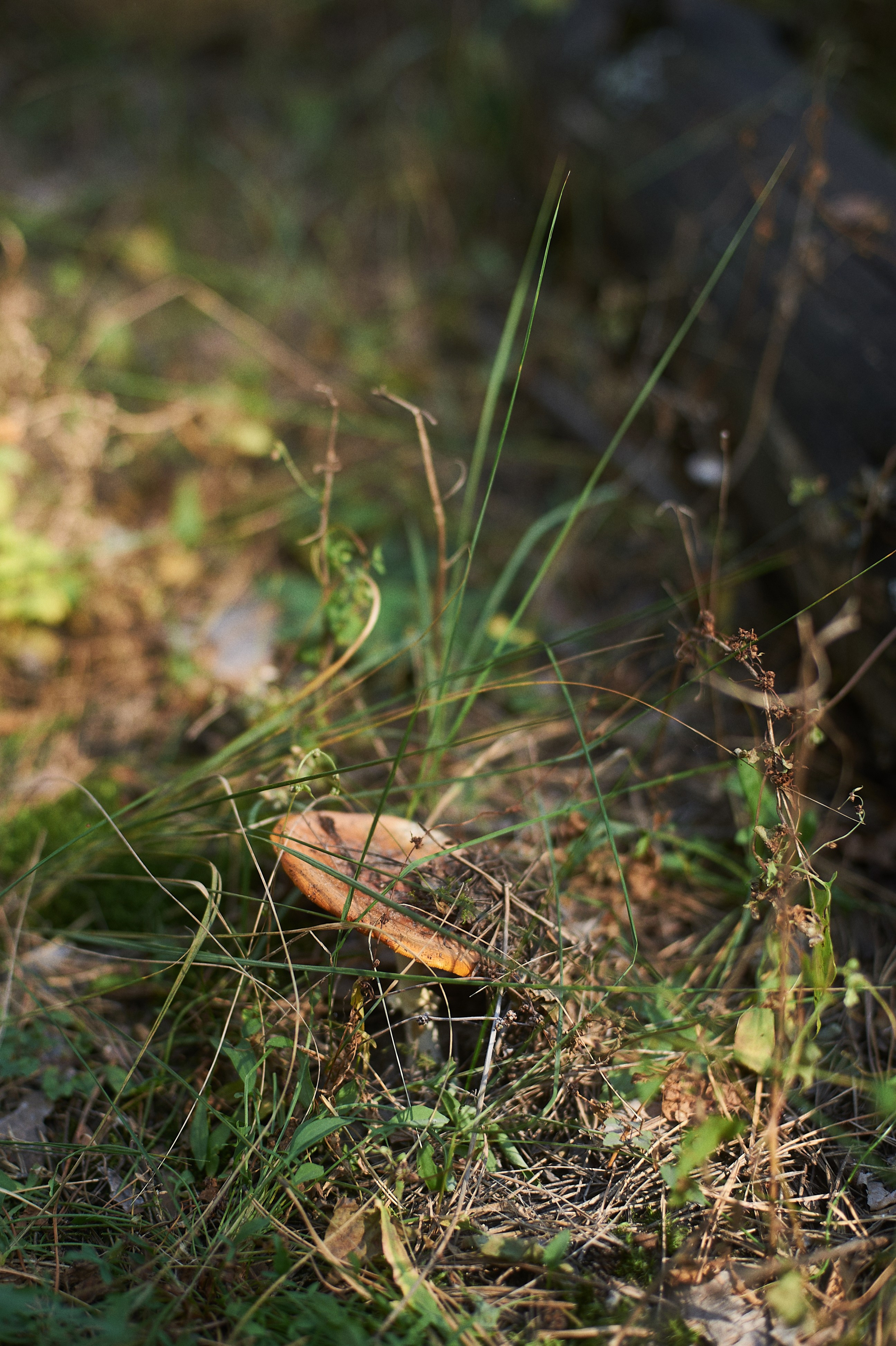 Катя. Портретный фотограф в Воронеже Вячеслав Буряк