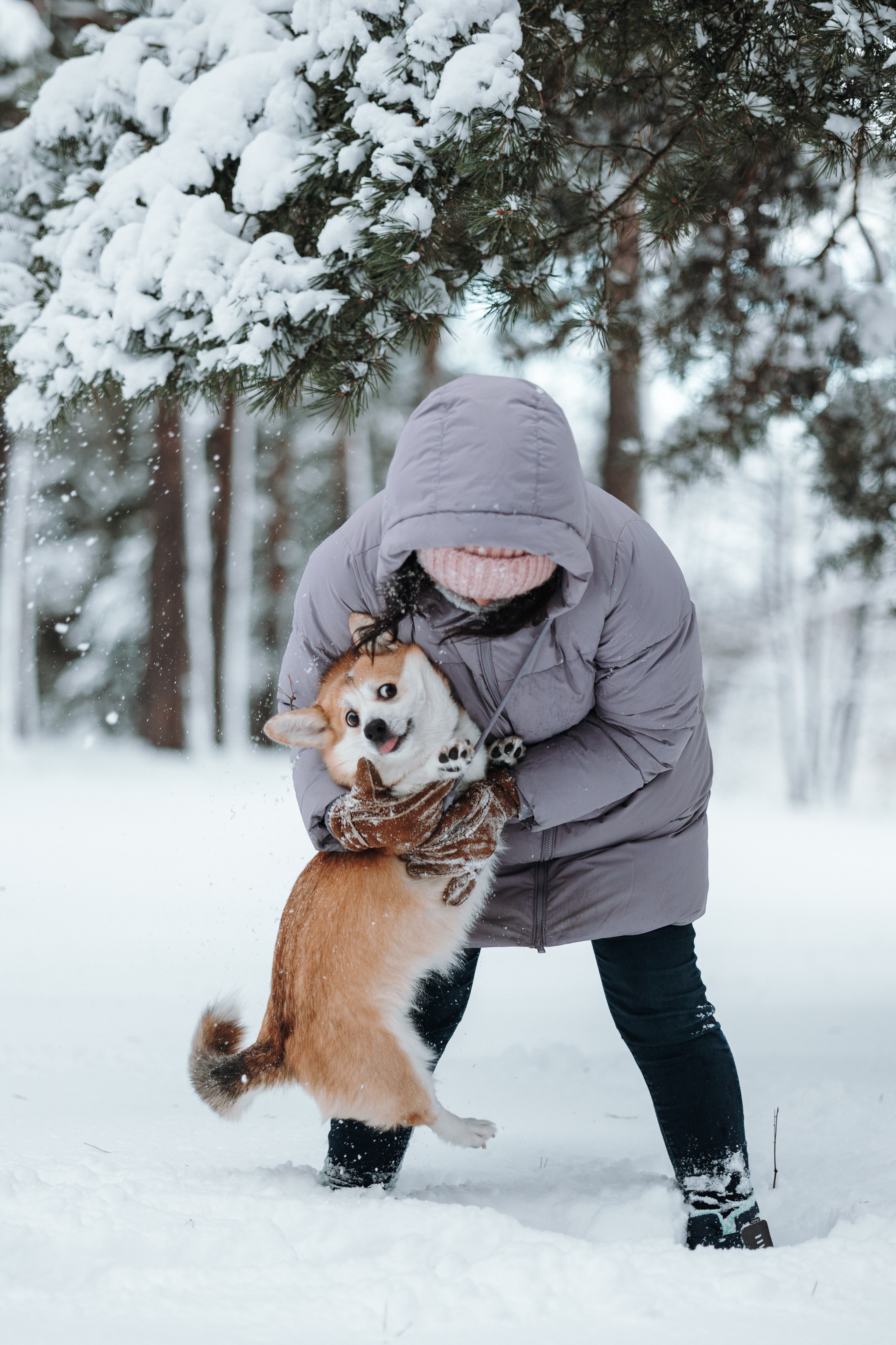 Оливка и ее семья. Фотограф — Анималист | Санкт-Петербург