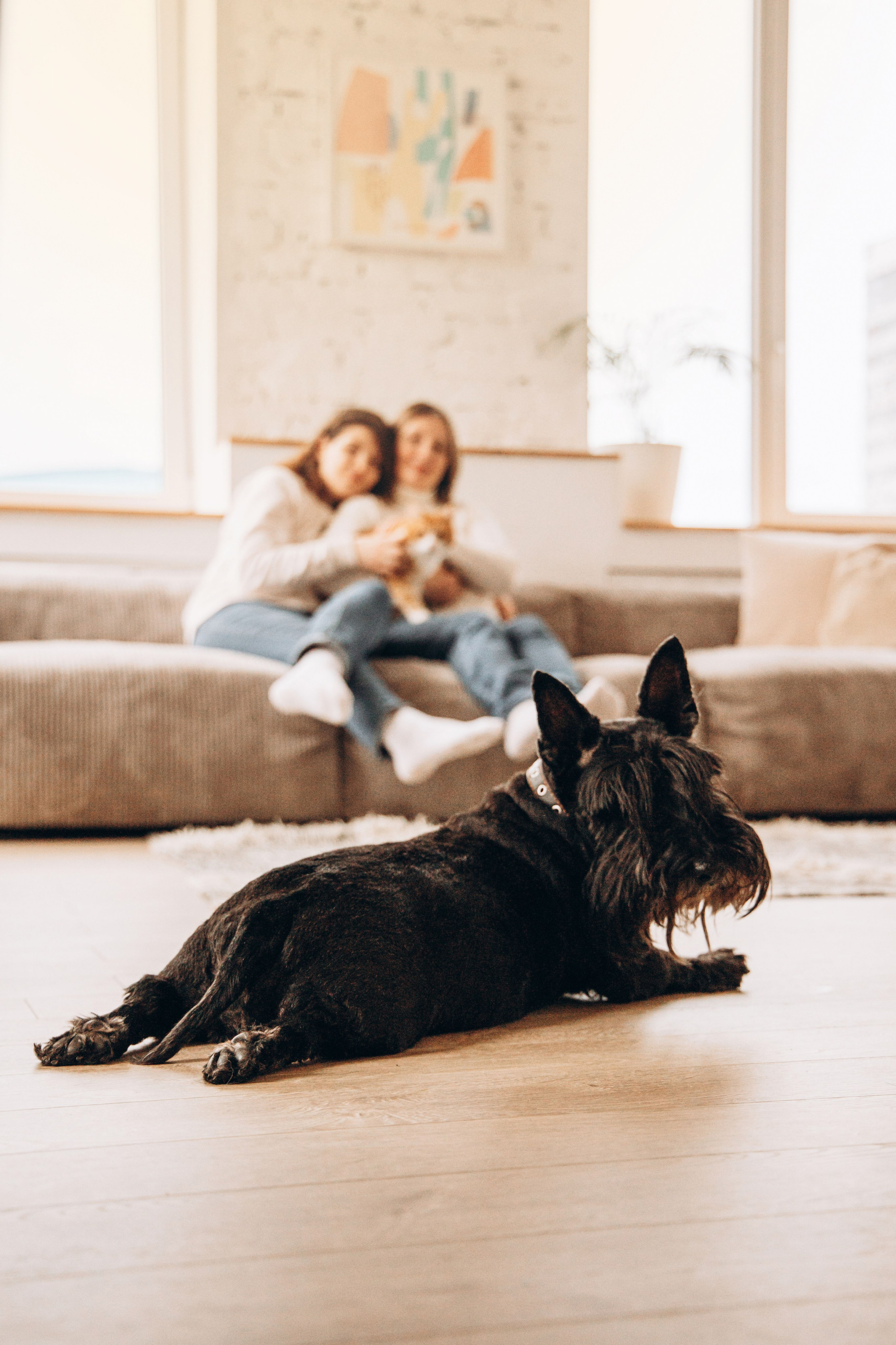 Аня и ее семья. Фотограф — Анималист | Санкт-Петербург