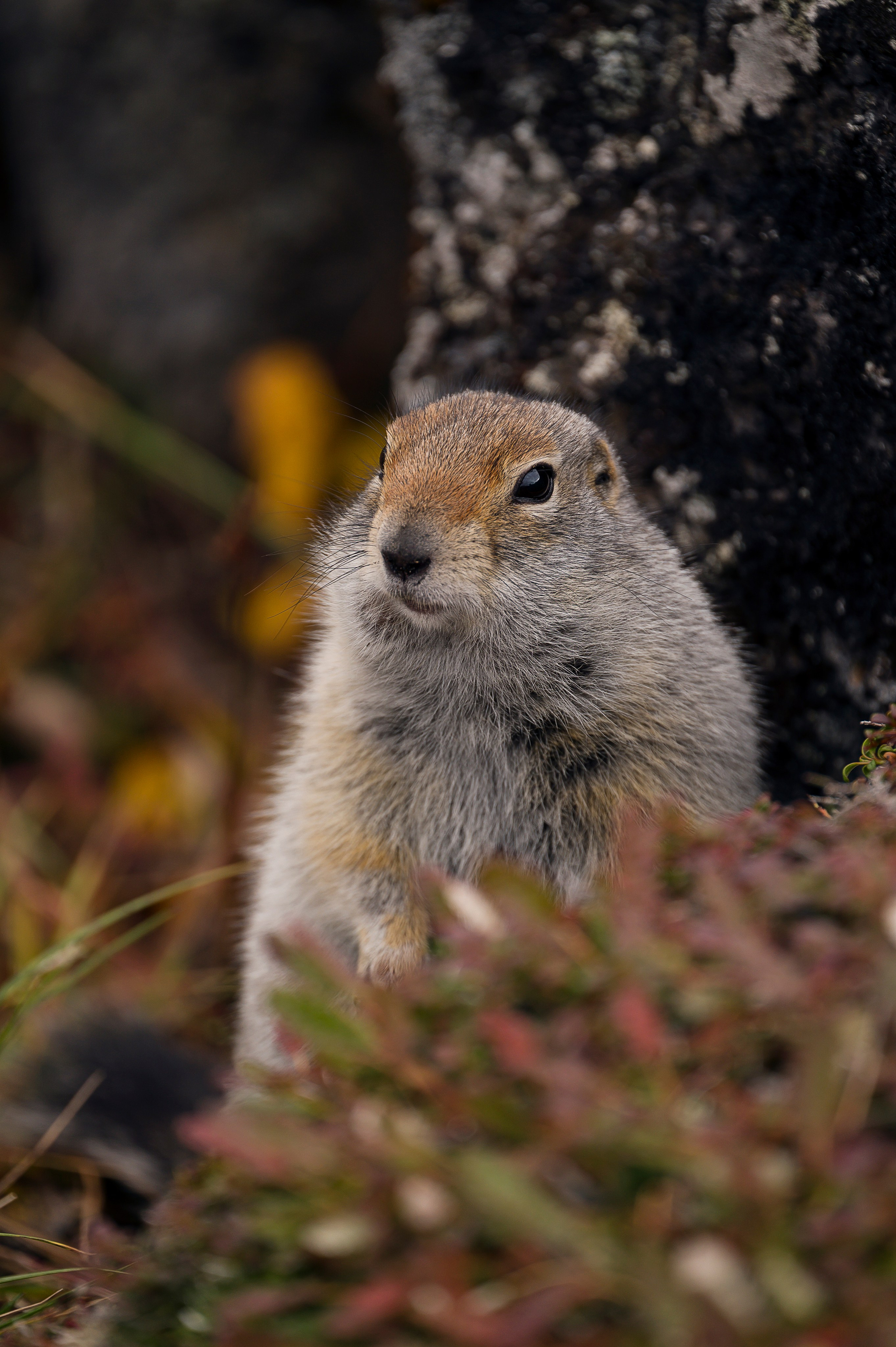 Камчатка. Портретный фотограф в Челябинске Катерина Руди