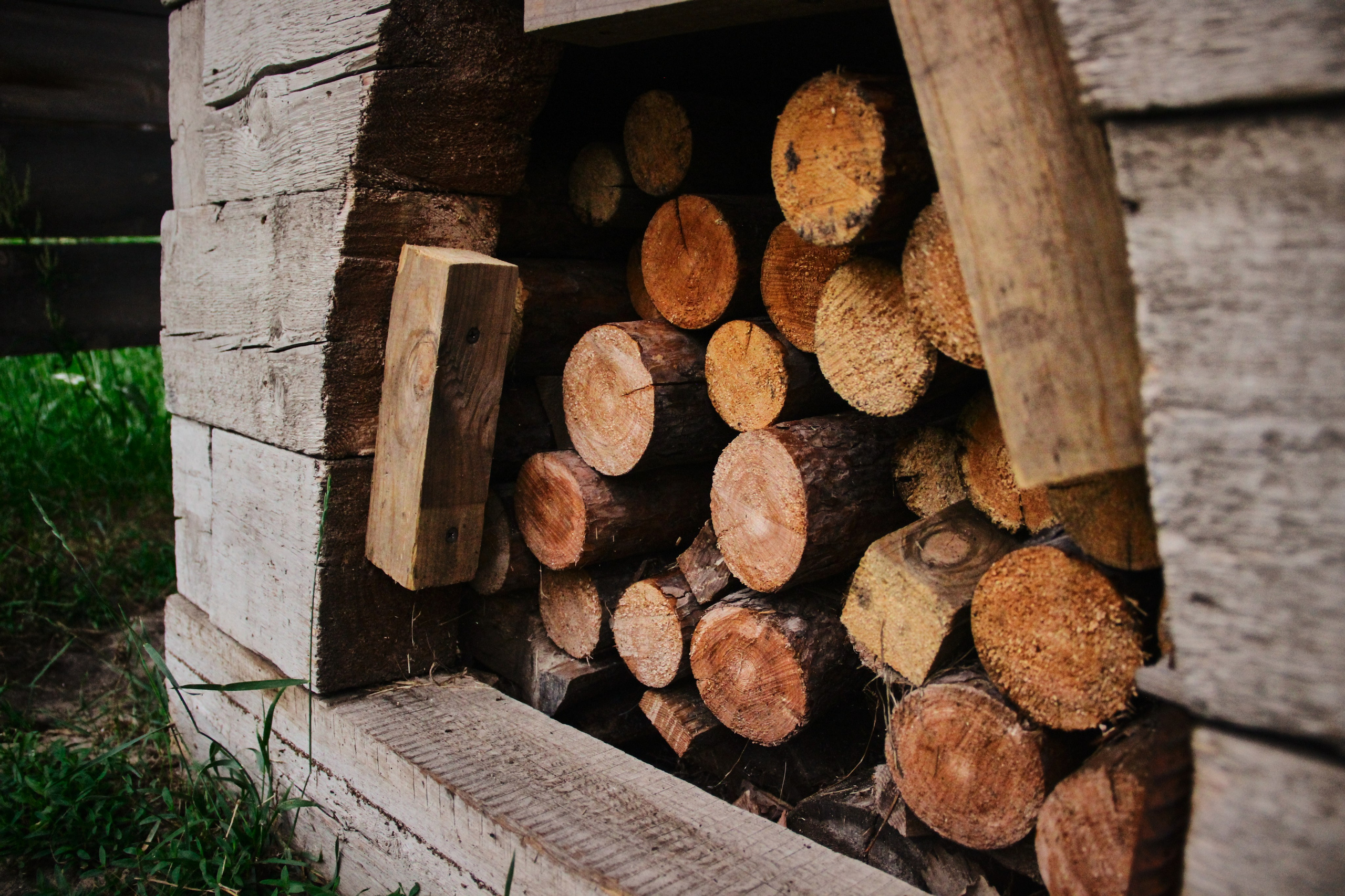 «Фестиваль традиционных русских ценностей» (5.07.2025 г.). Фотограф: IRINA K