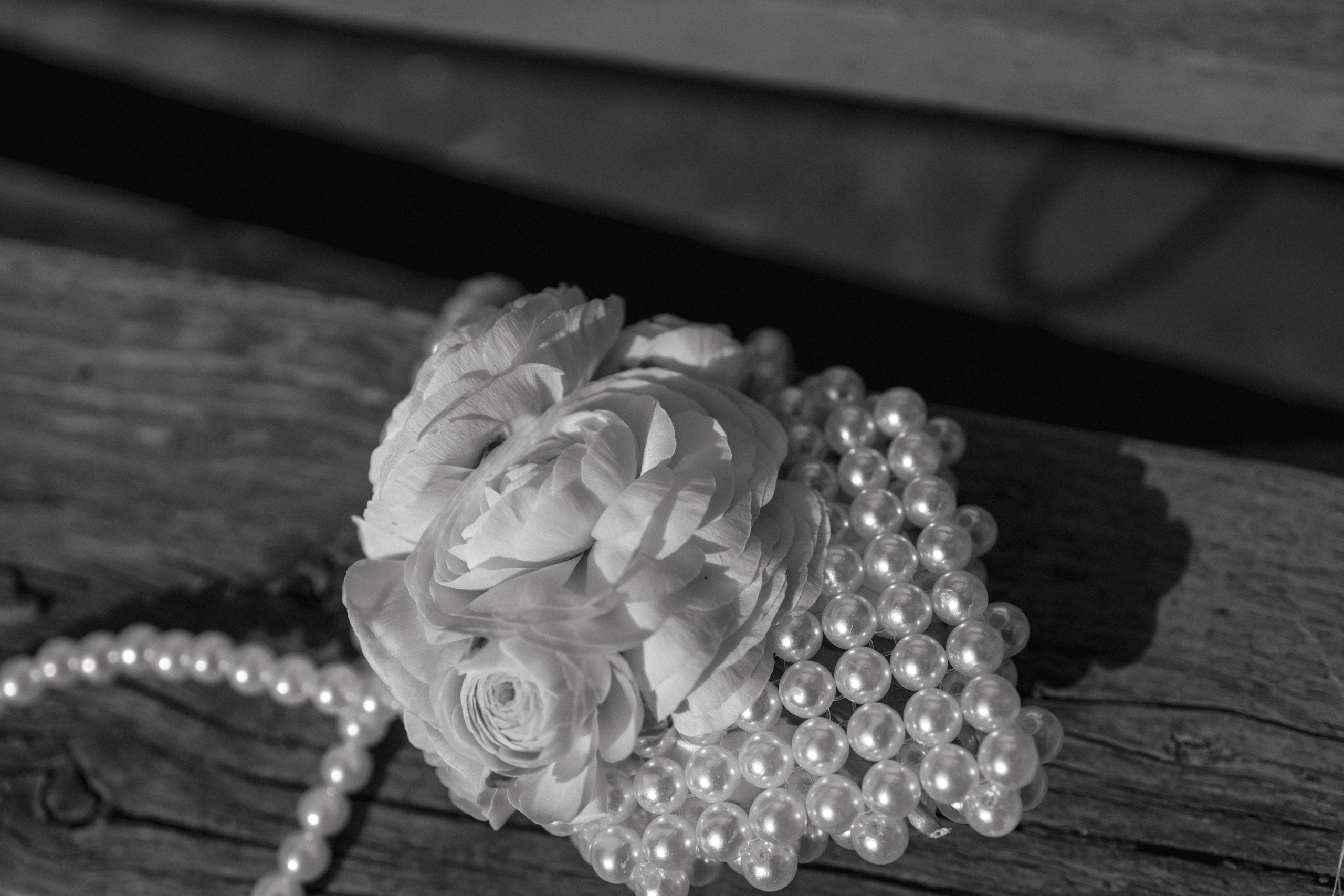 Дача Короленко. Семейный и портретный фотограф в Геленджике Любовь Бодрова