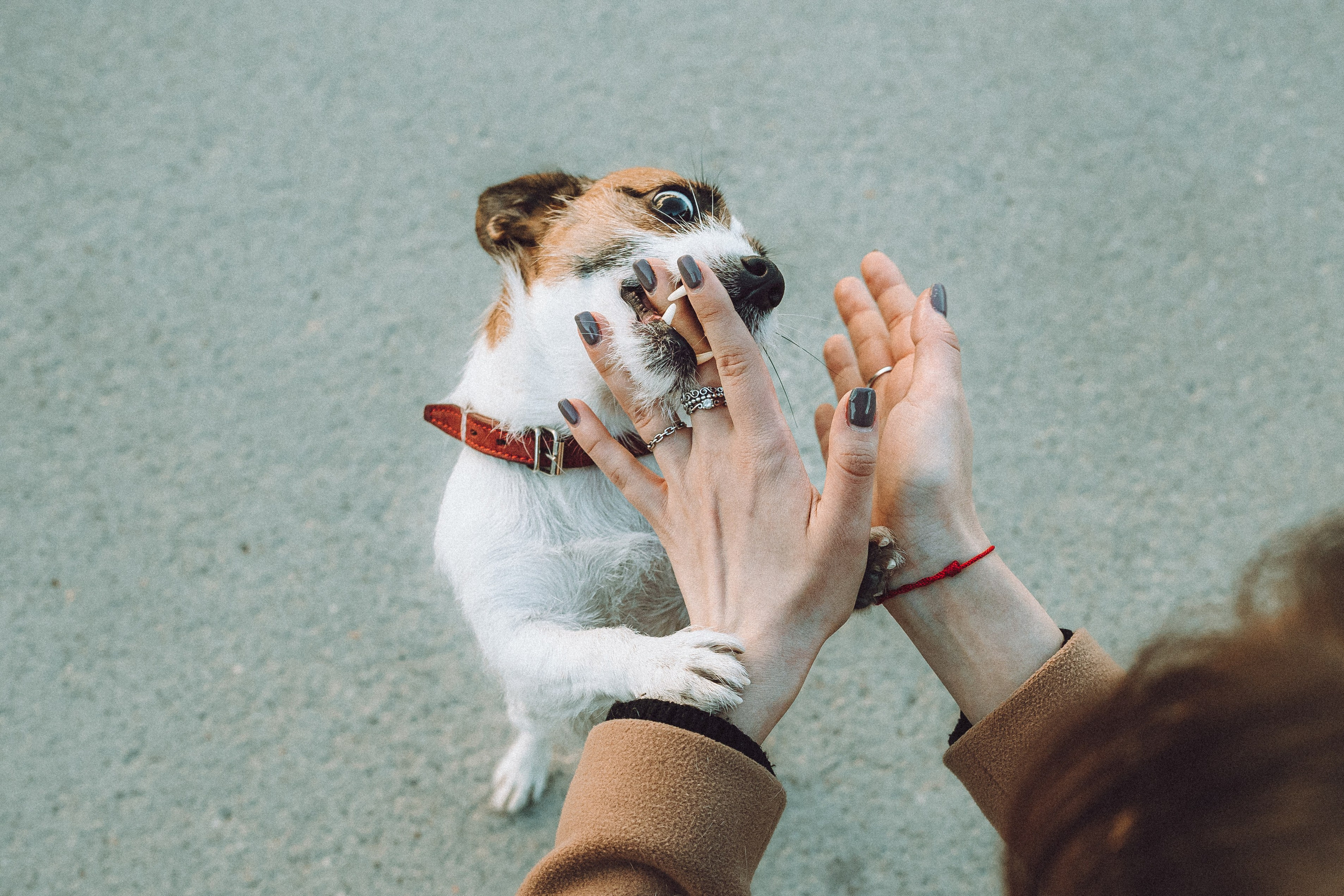 Лера и Рада