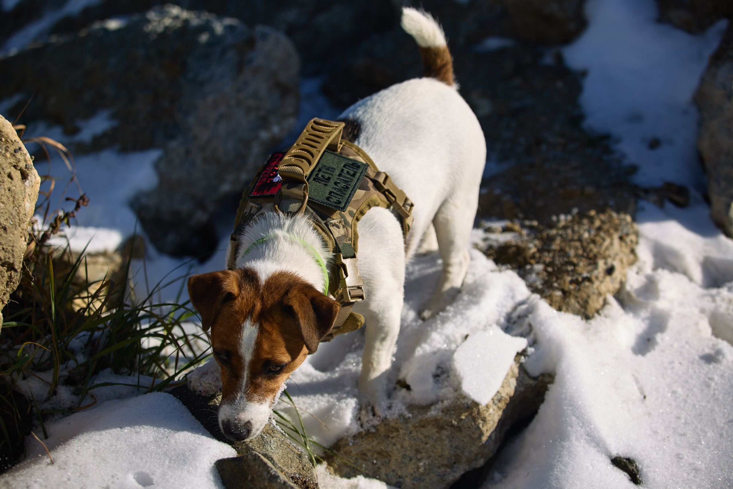 Лети Спасатель. Buyvolenko Andrey