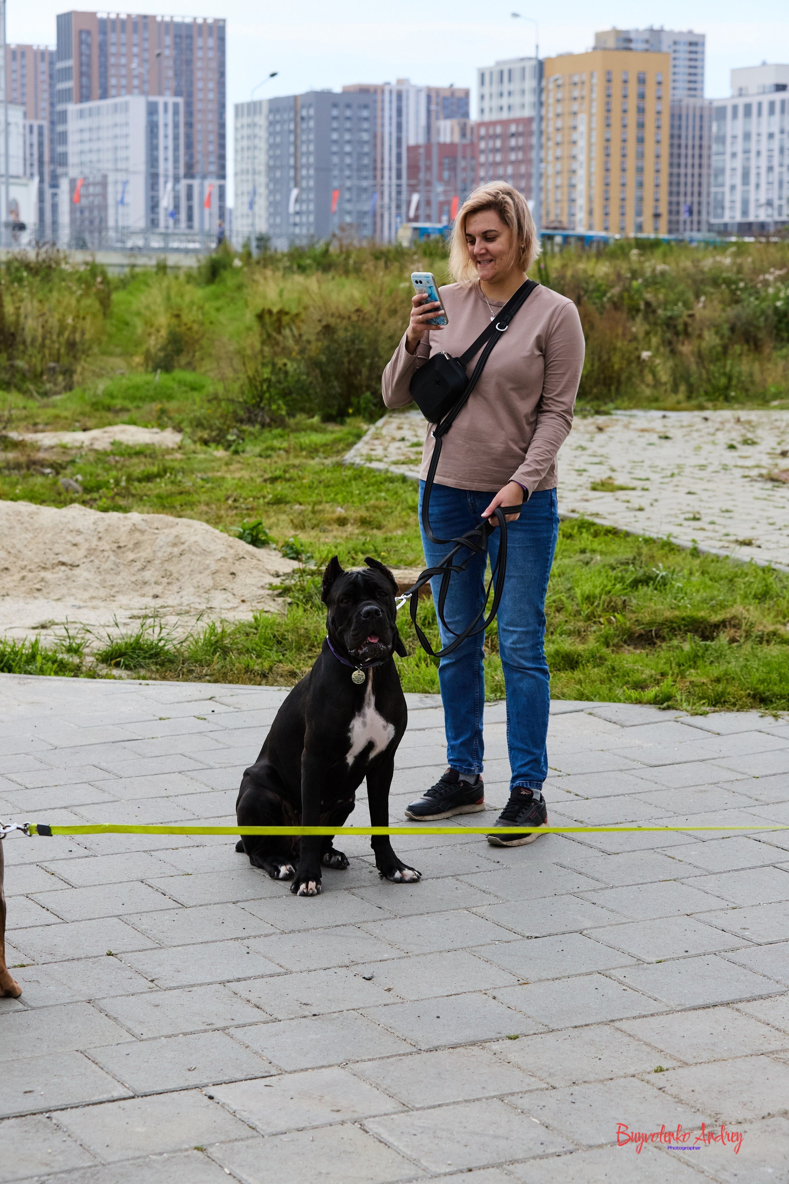 Проект фотопрогулка с хвостиком. Buyvolenko Andrey