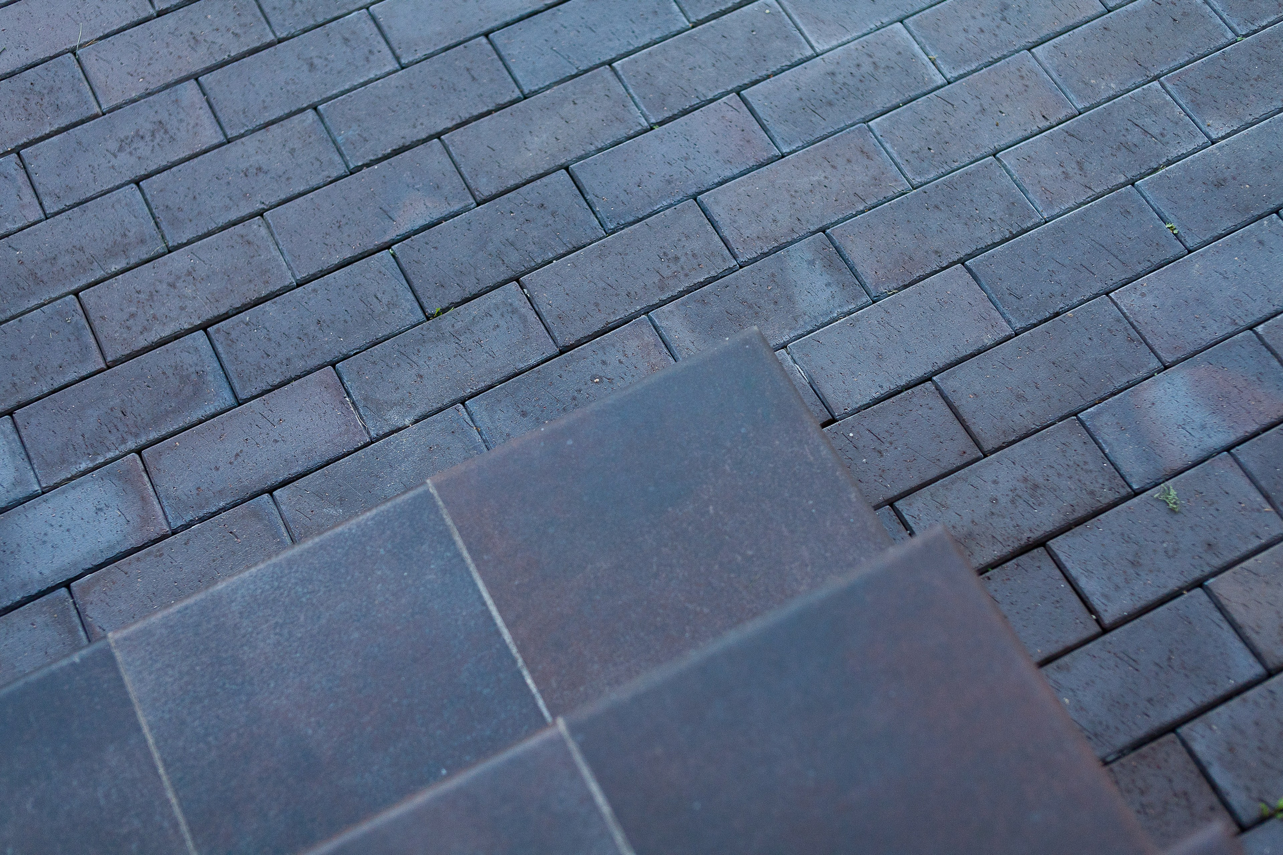 Ландшафт. Новый год 2026