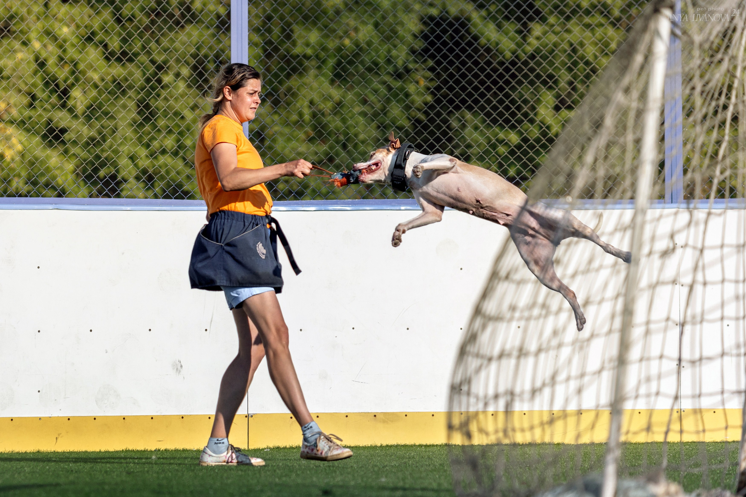 Ралли обидиенс. Фотограф анималист Аня Ливанова | Рыбинск