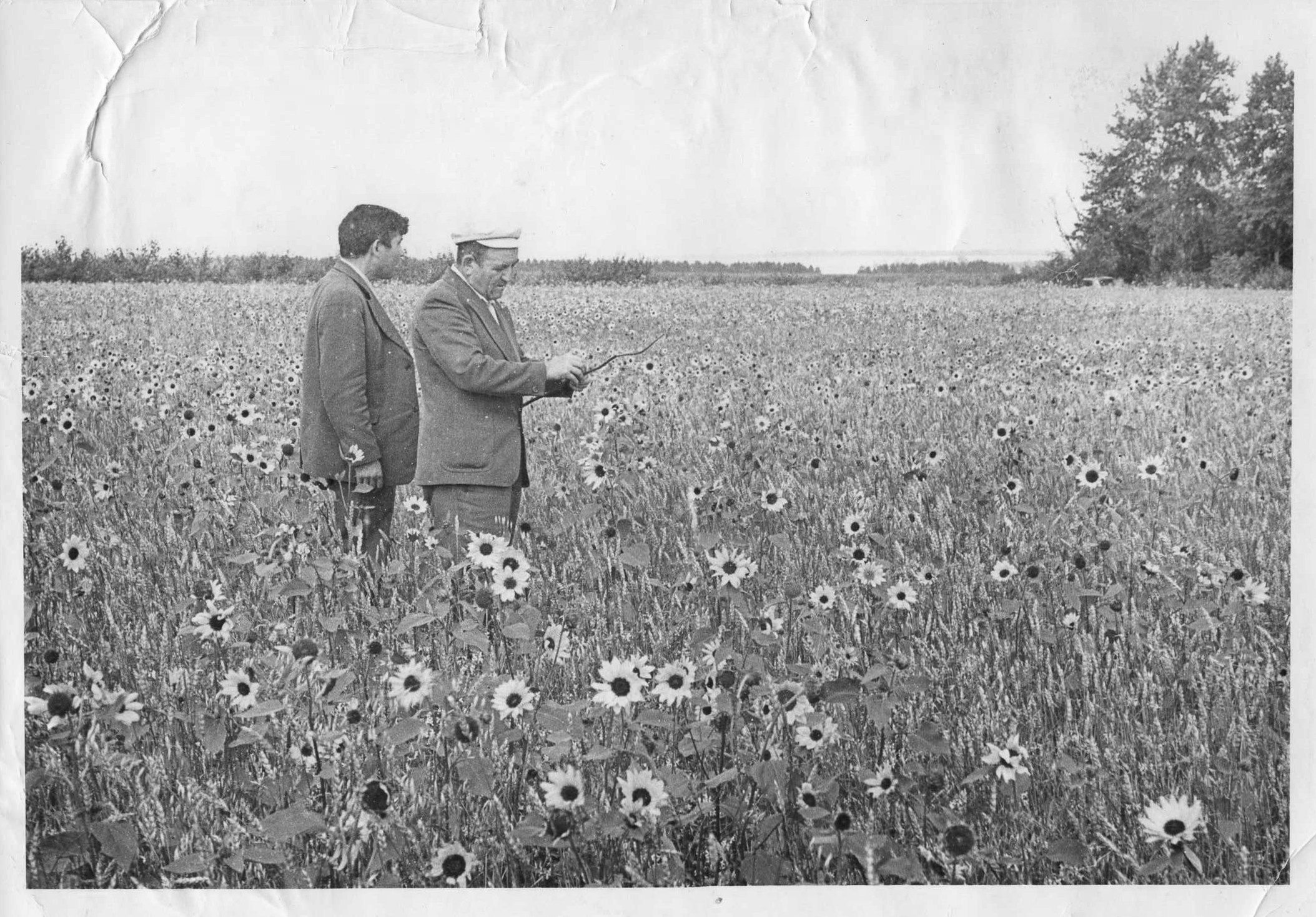 Архивные фотографии. Margarita Khatmullina