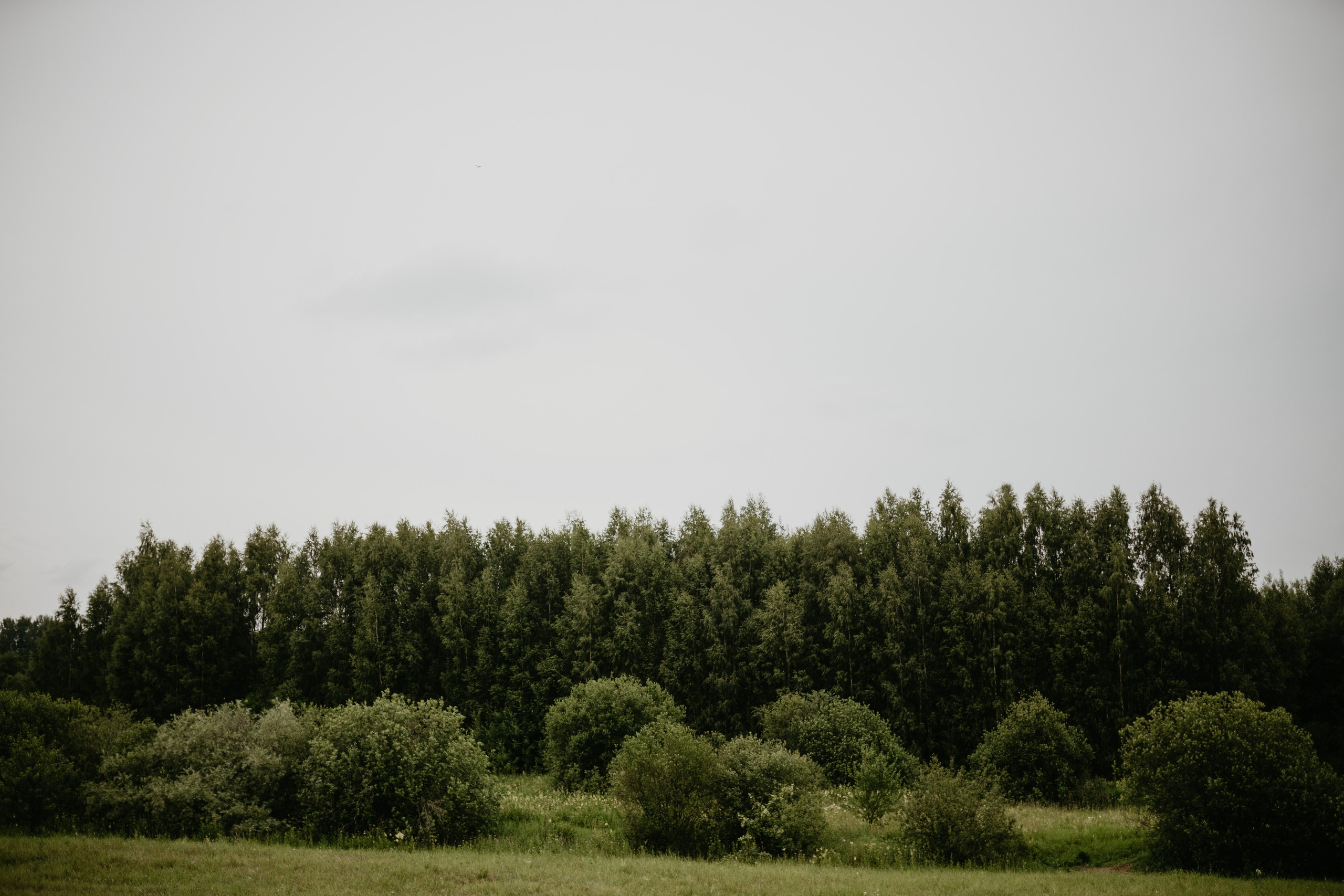 A&V. Фотограф Очагов Дмитрий Ярославль, Москва, Переславль-Залесский