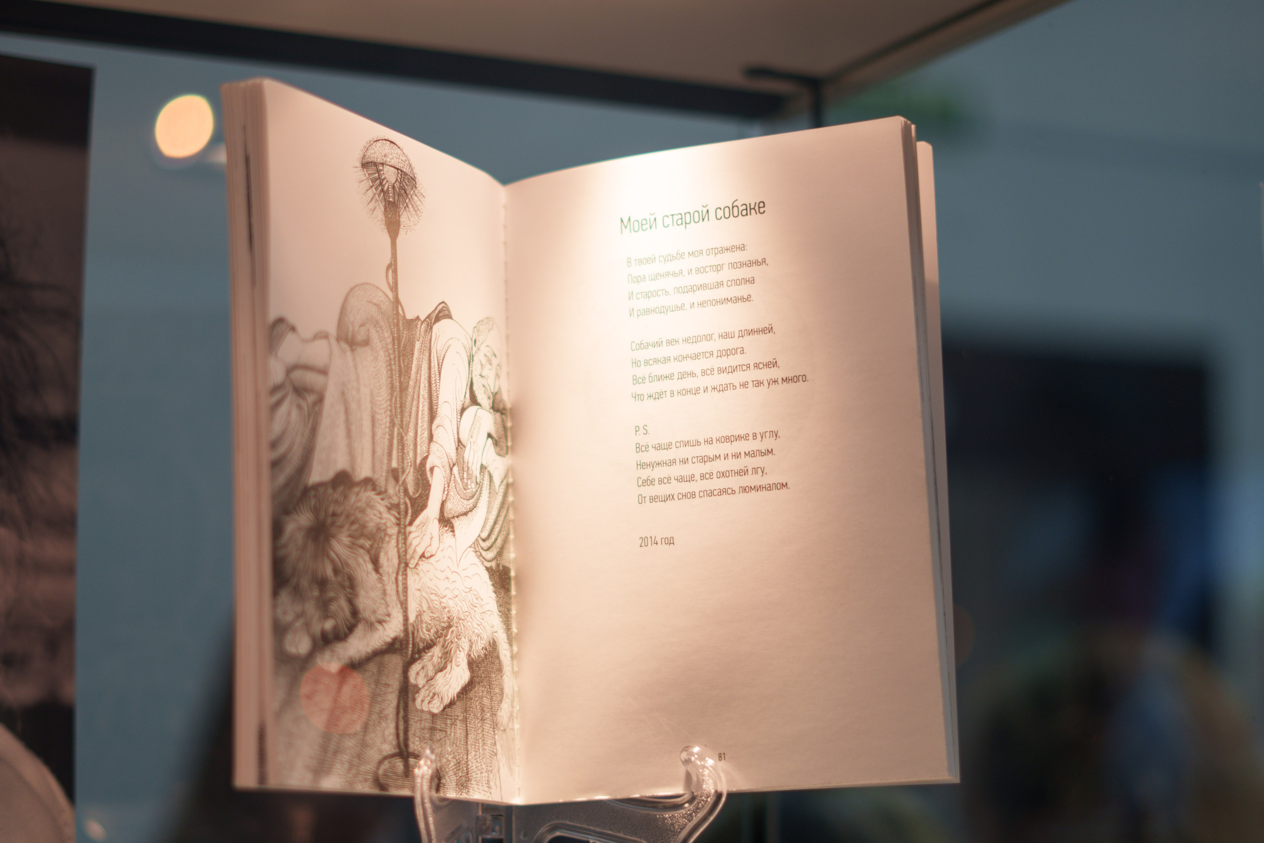 Открытие 11 фестиваля анималистики «Зооарт». Фотограф в Санкт-Петербурге Ибрагимова Алина