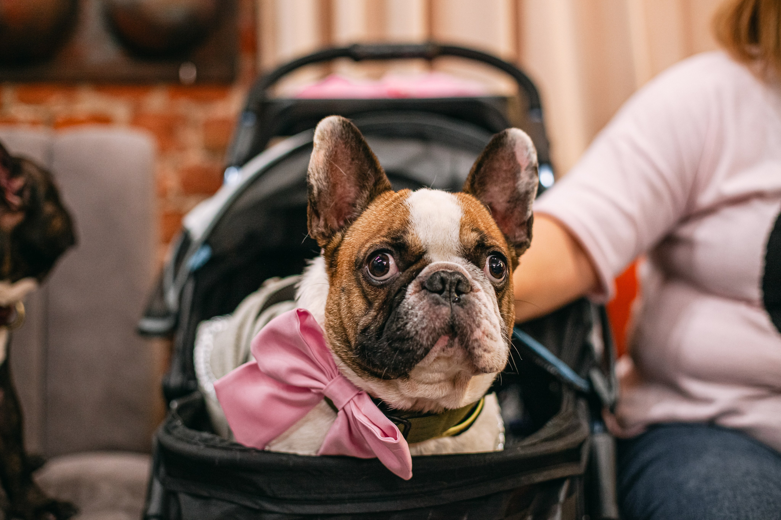 Бульёлка 2024. Фотограф-анималист Татьяна Степанова