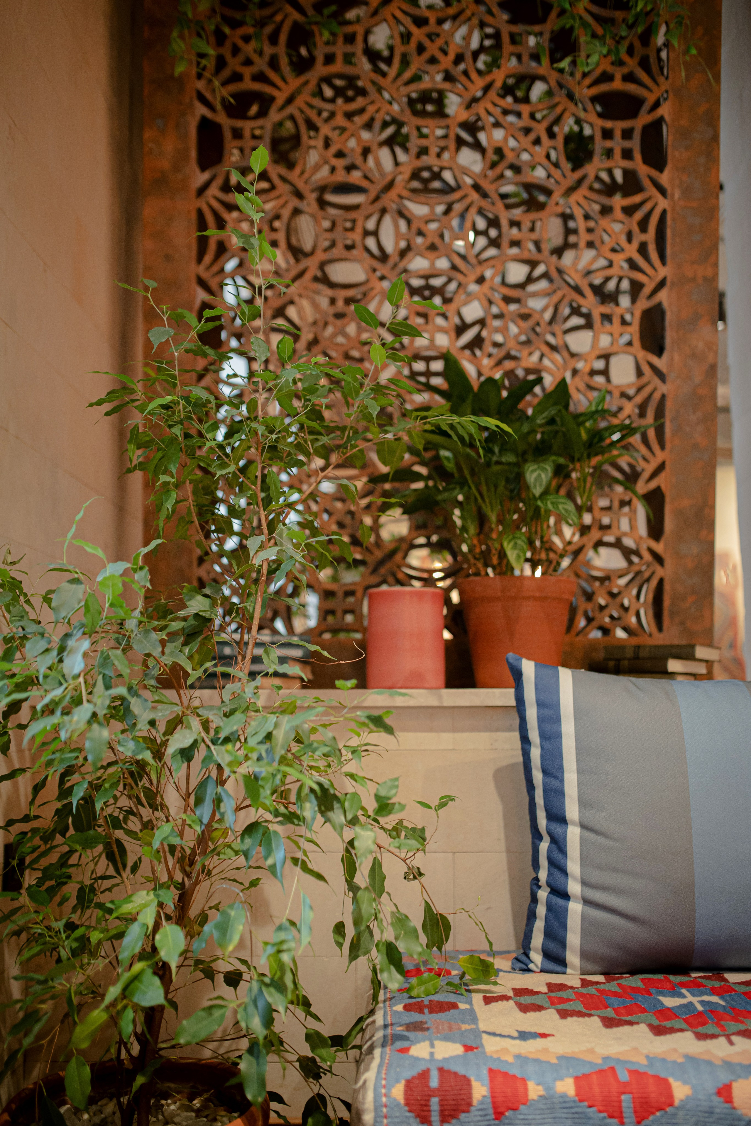 CASPIAN. Фотограф Агеева Мария