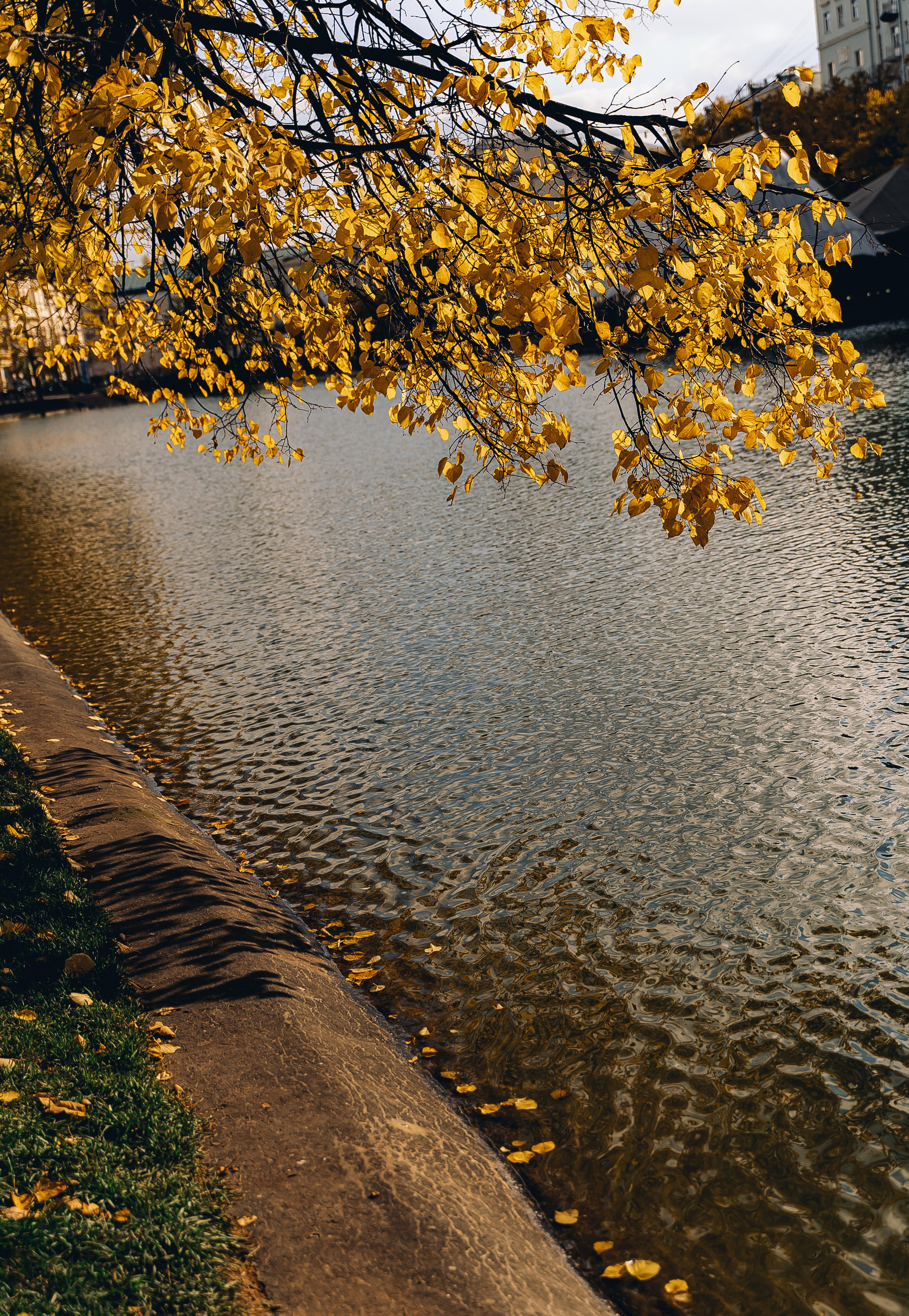 Юлия и Виталий. Свадебный и семейный фотограф Ирина Чернова